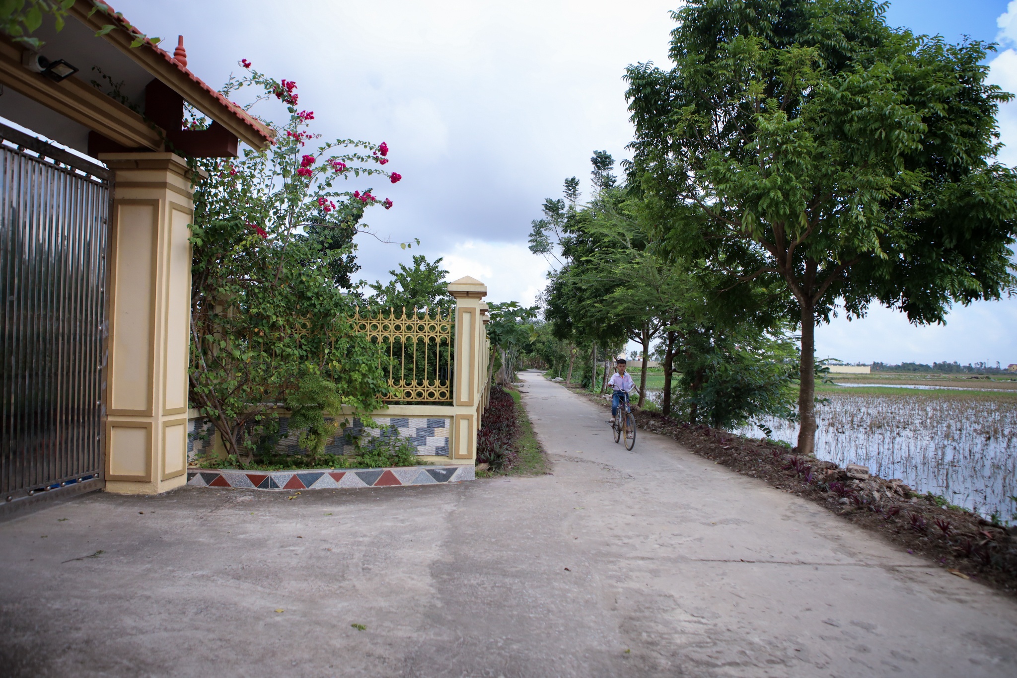 nha cua do thi ha o thanh hoa anh 2