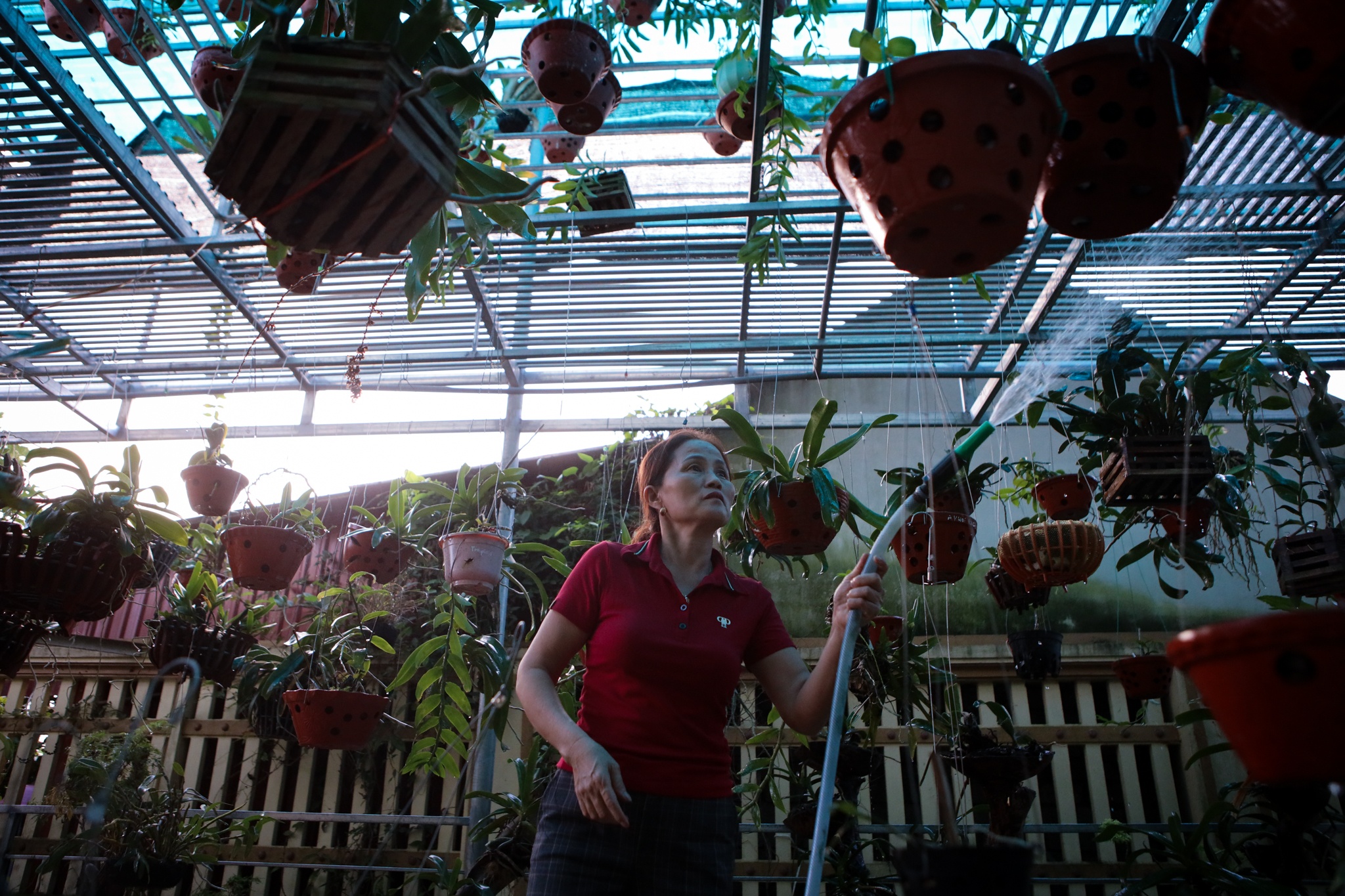 nha cua do thi ha o thanh hoa anh 4