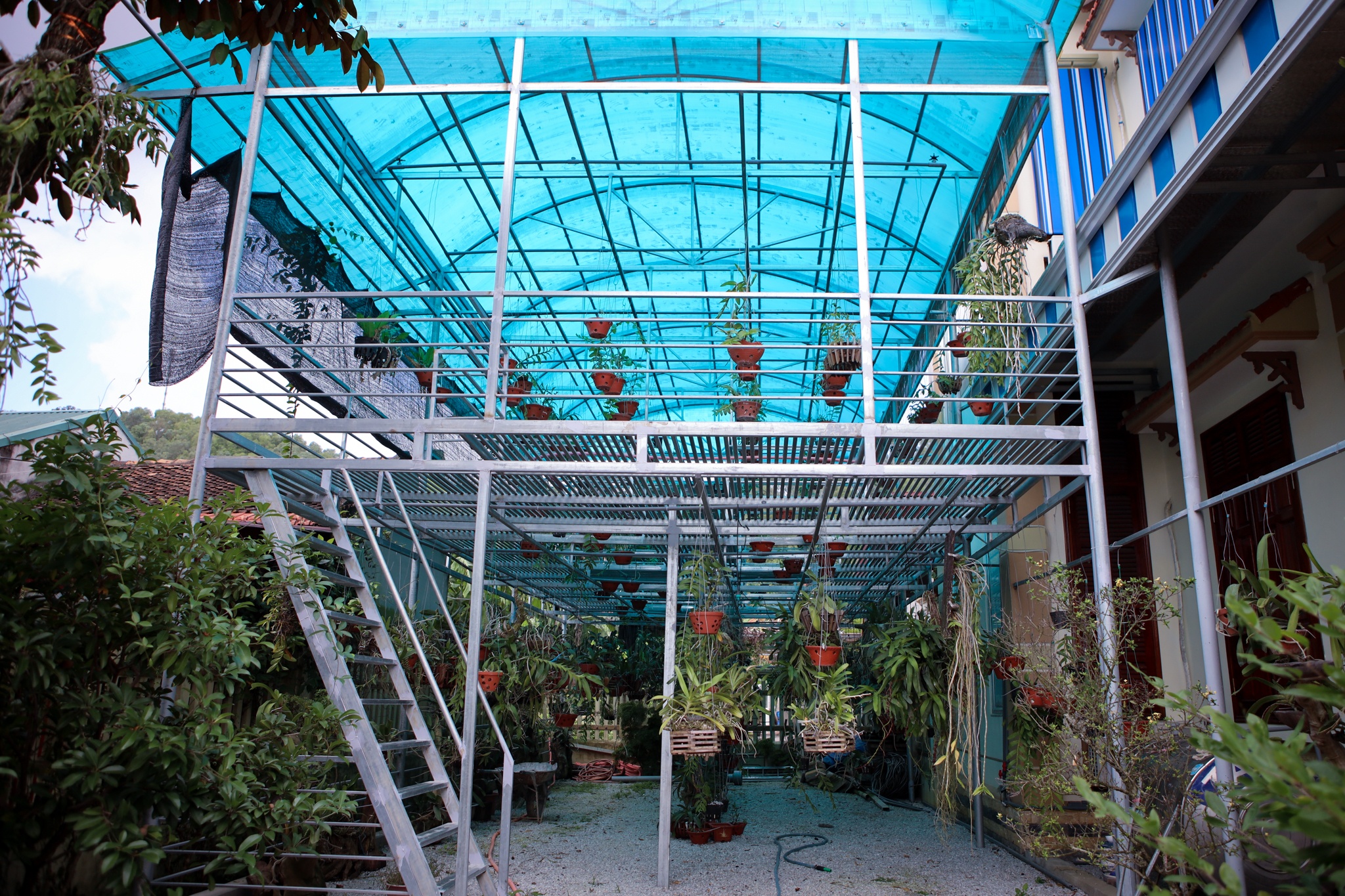 nha cua do thi ha o thanh hoa anh 5