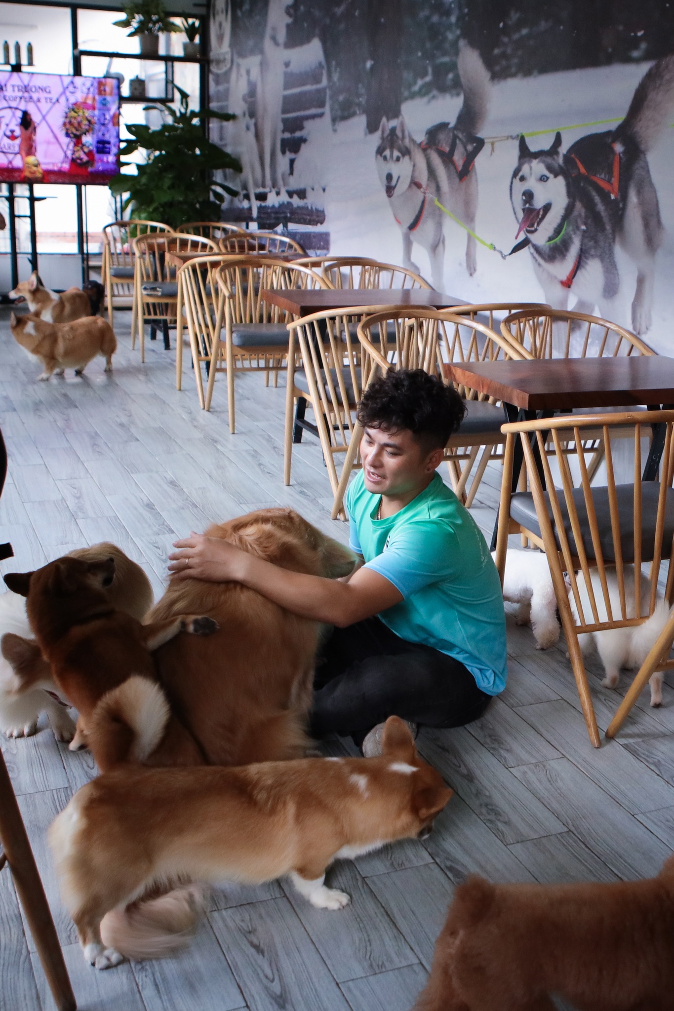 chi 170 triệu nuôi chó cảnh ảnh 12 chi 170 trieu nuoi cho canh anh 12