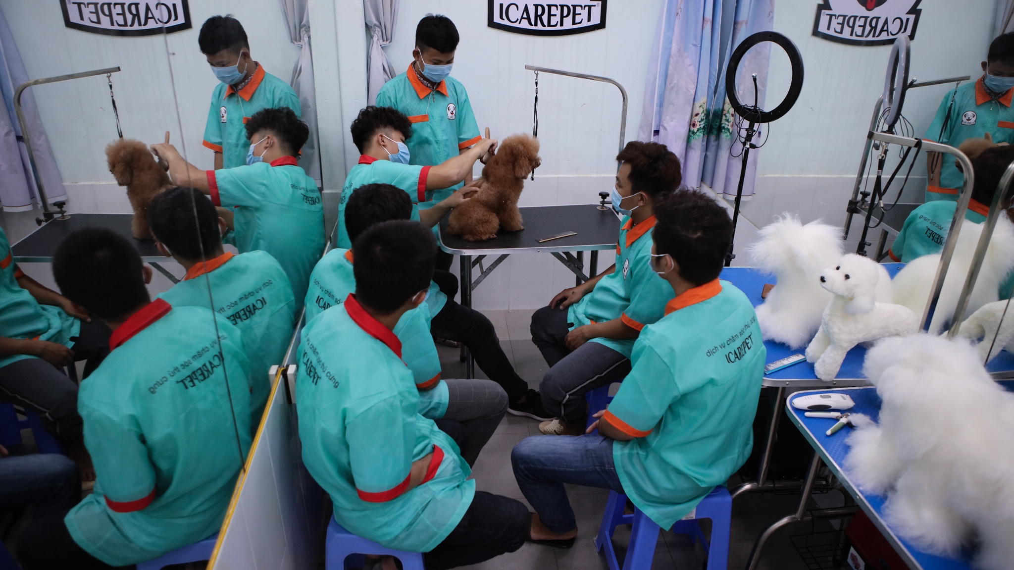 chi 170 triệu nuôi chó cảnh ảnh 21 chi 170 trieu nuoi cho canh anh 21
