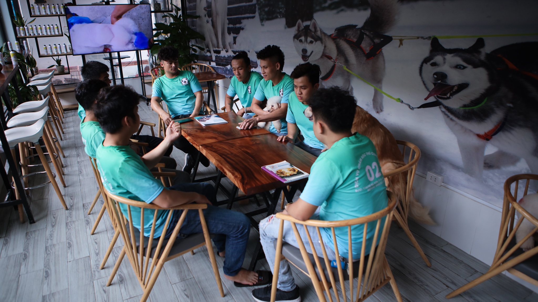 chi 170 triệu nuôi chó cảnh ảnh 9 chi 170 trieu nuoi cho canh anh 9