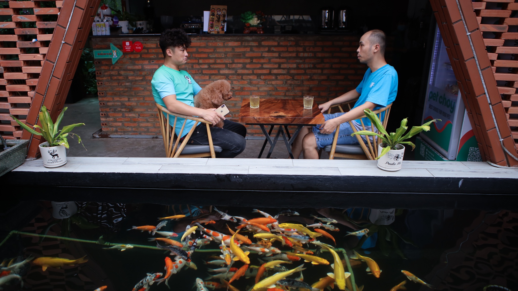 chi 170 triệu nuôi chó cảnh ảnh 19 chi 170 trieu nuoi cho canh anh 19