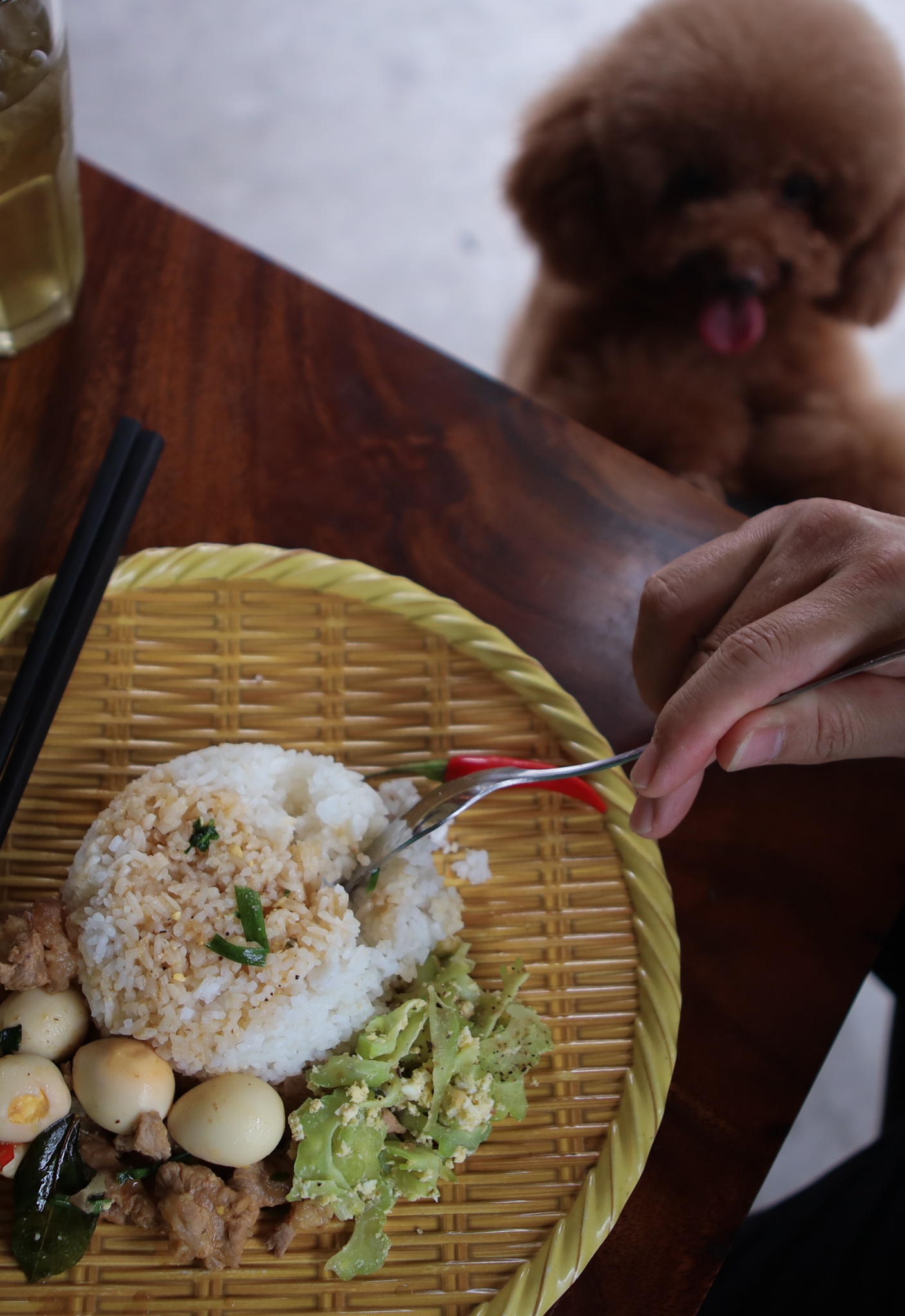 chi 170 triệu nuôi chó cảnh ảnh 28 chi 170 trieu nuoi cho canh anh 28