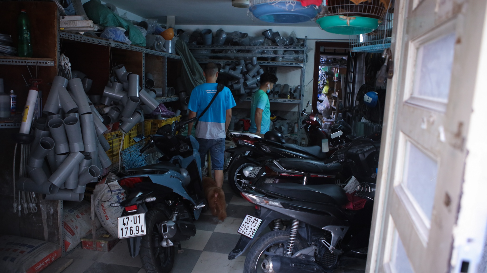 chi 170 triệu nuôi chó cảnh ảnh 29 chi 170 trieu nuoi cho canh anh 29