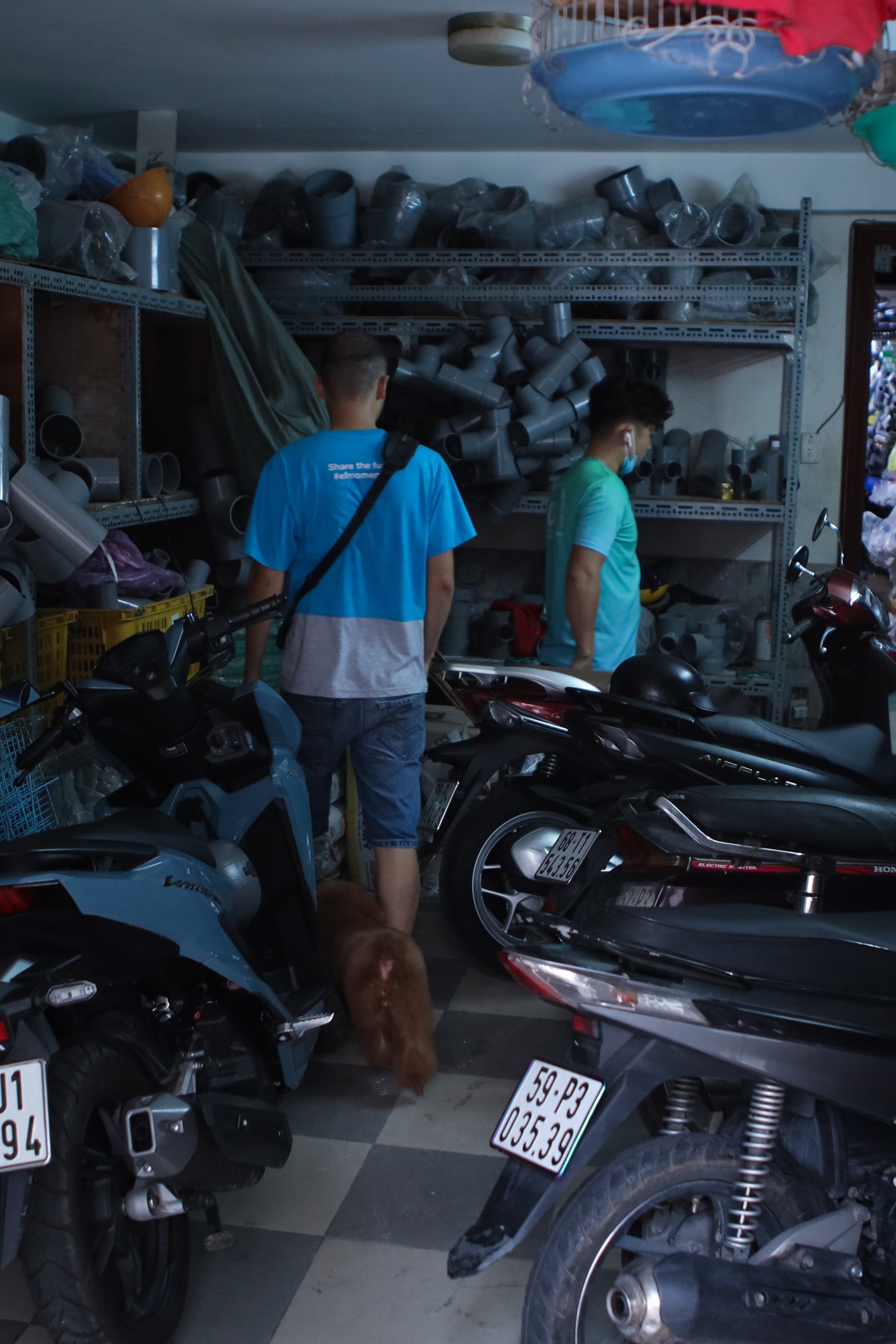 chi 170 triệu nuôi chó cảnh ảnh 30 chi 170 trieu nuoi cho canh anh 30