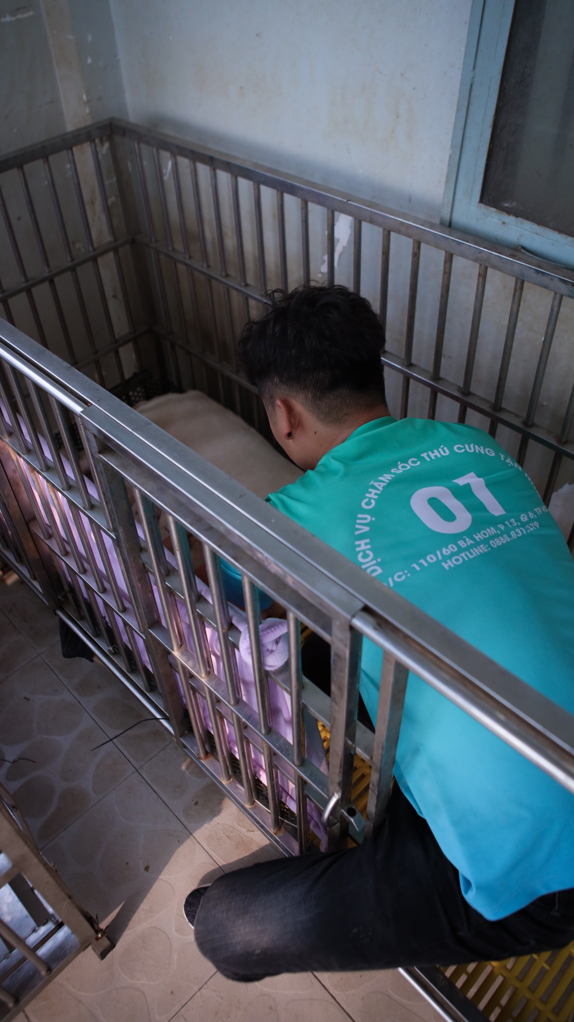 chi 170 triệu nuôi chó cảnh ảnh 32 chi 170 trieu nuoi cho canh anh 32