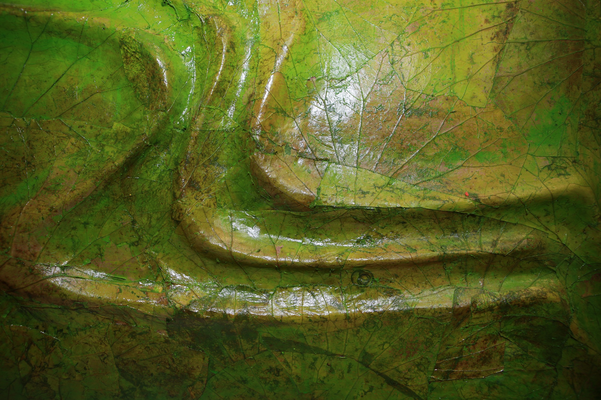 thiet ke duong hoa Nguyen Hue anh 7