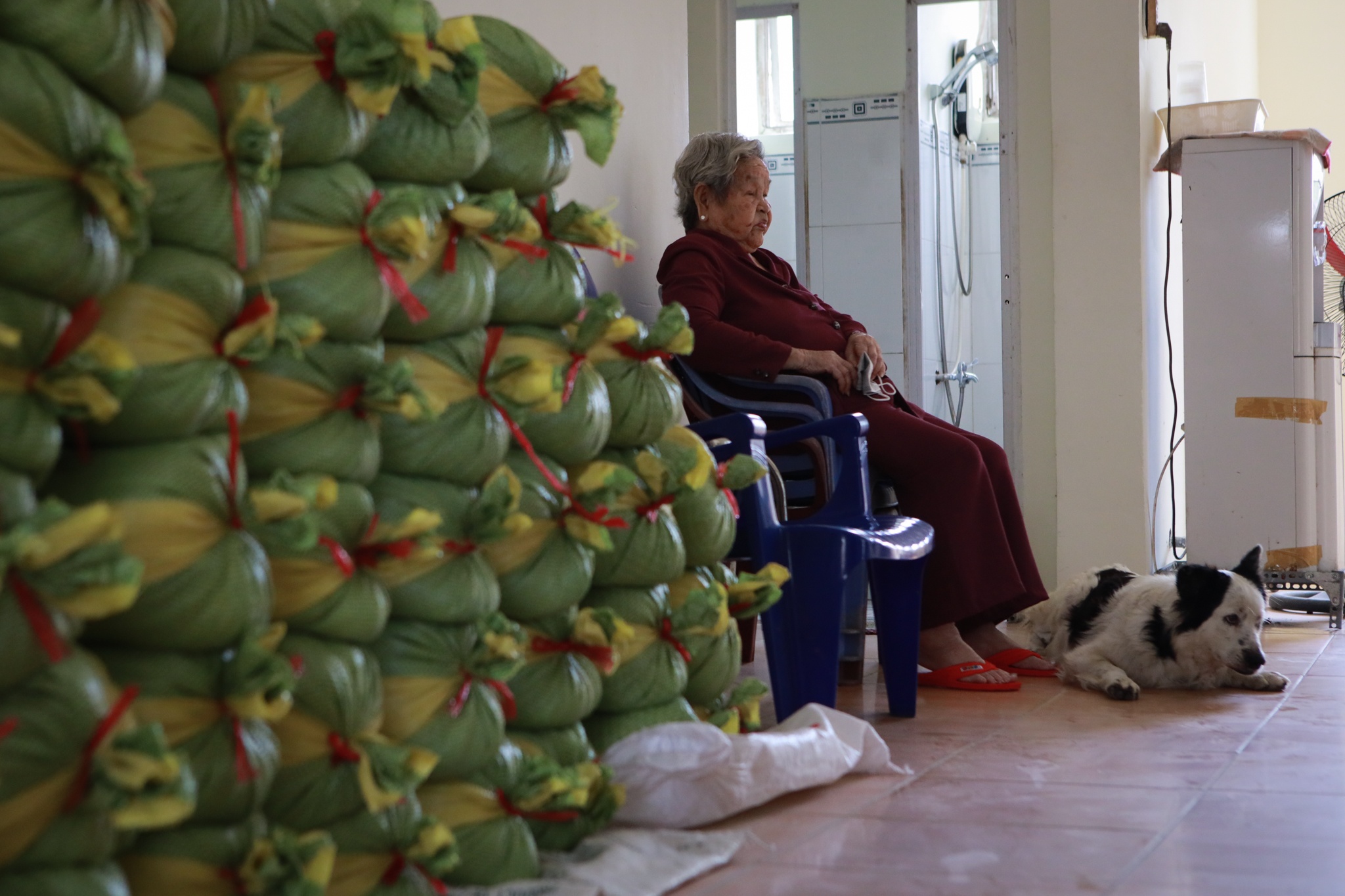 vien duong lao nghe si anh 10