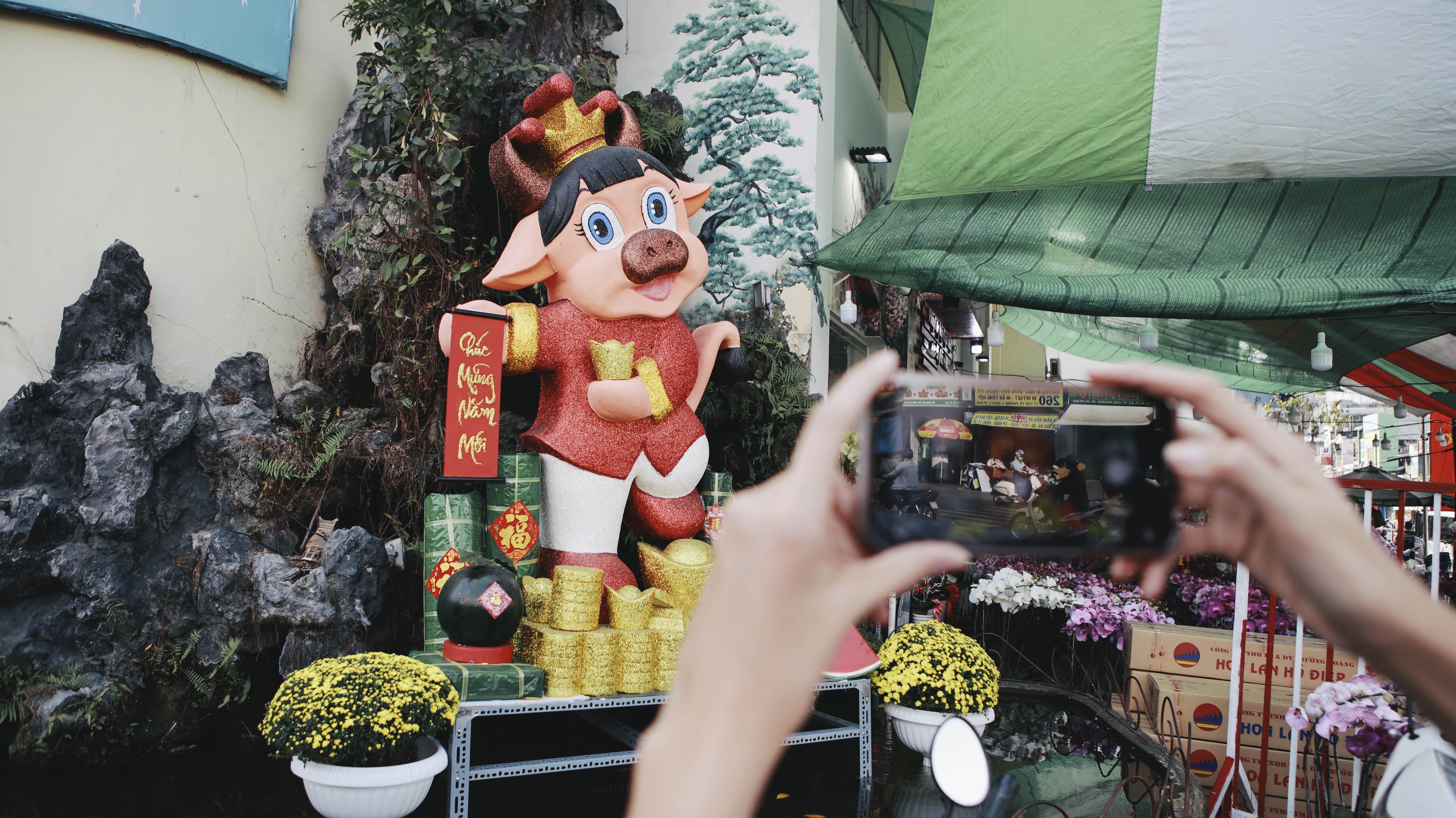 Võ Hoàng Yến ảnh 15 Vo Hoang Yen anh 15