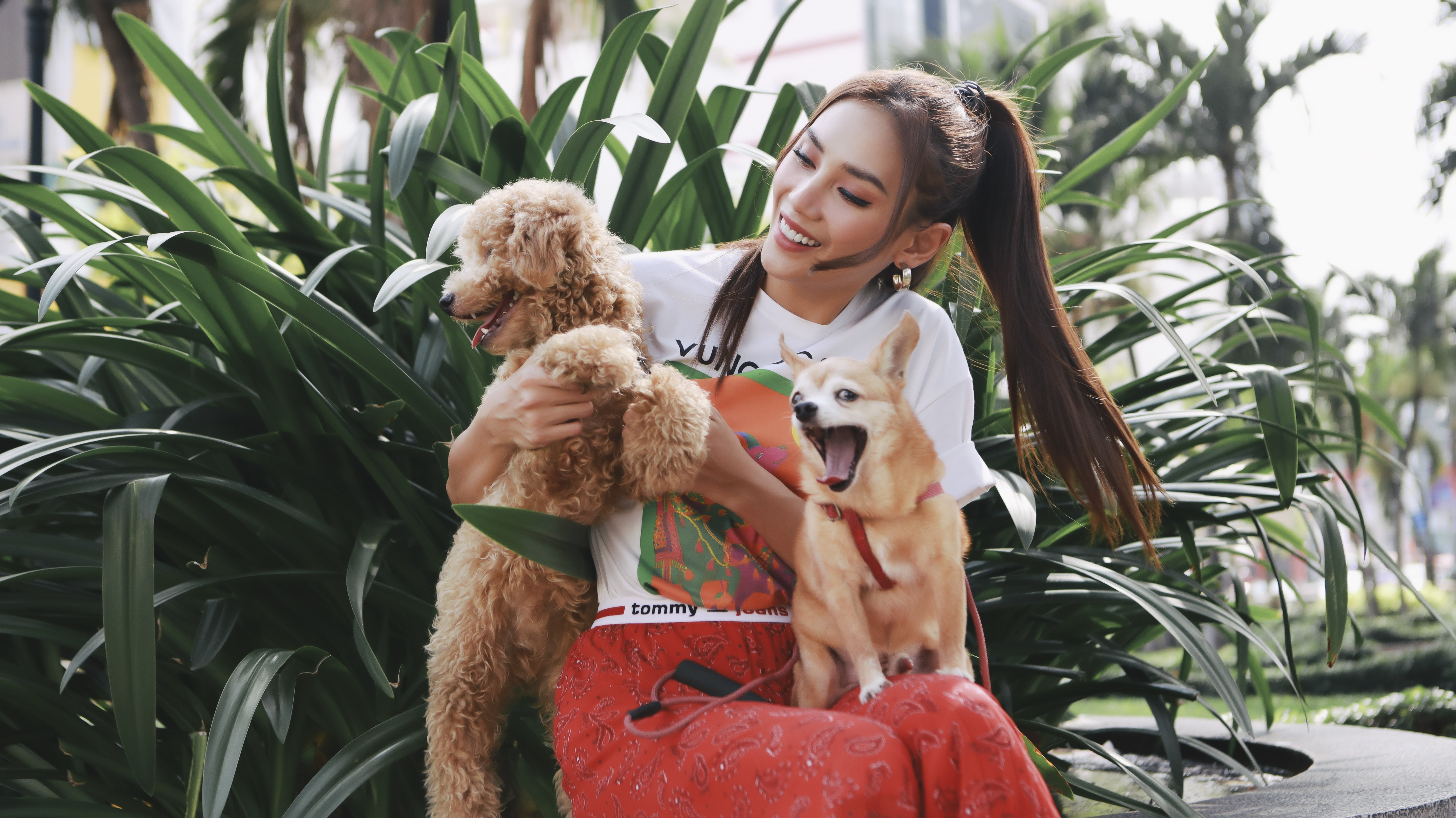 Võ Hoàng Yến ảnh 23 Vo Hoang Yen anh 23