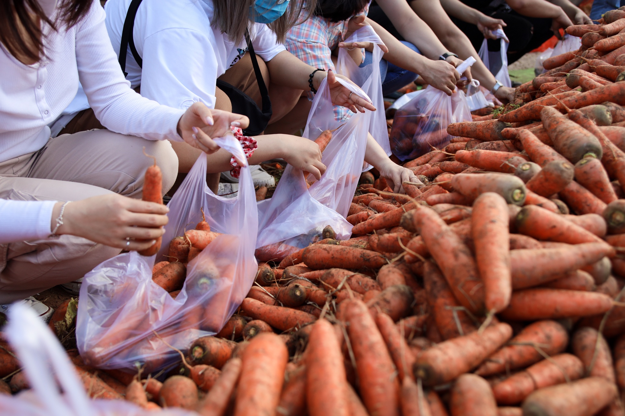 Á hậu Kiều Loan giải cứu nông sản ảnh 3 A hau Kieu Loan giai cuu nong san anh 3