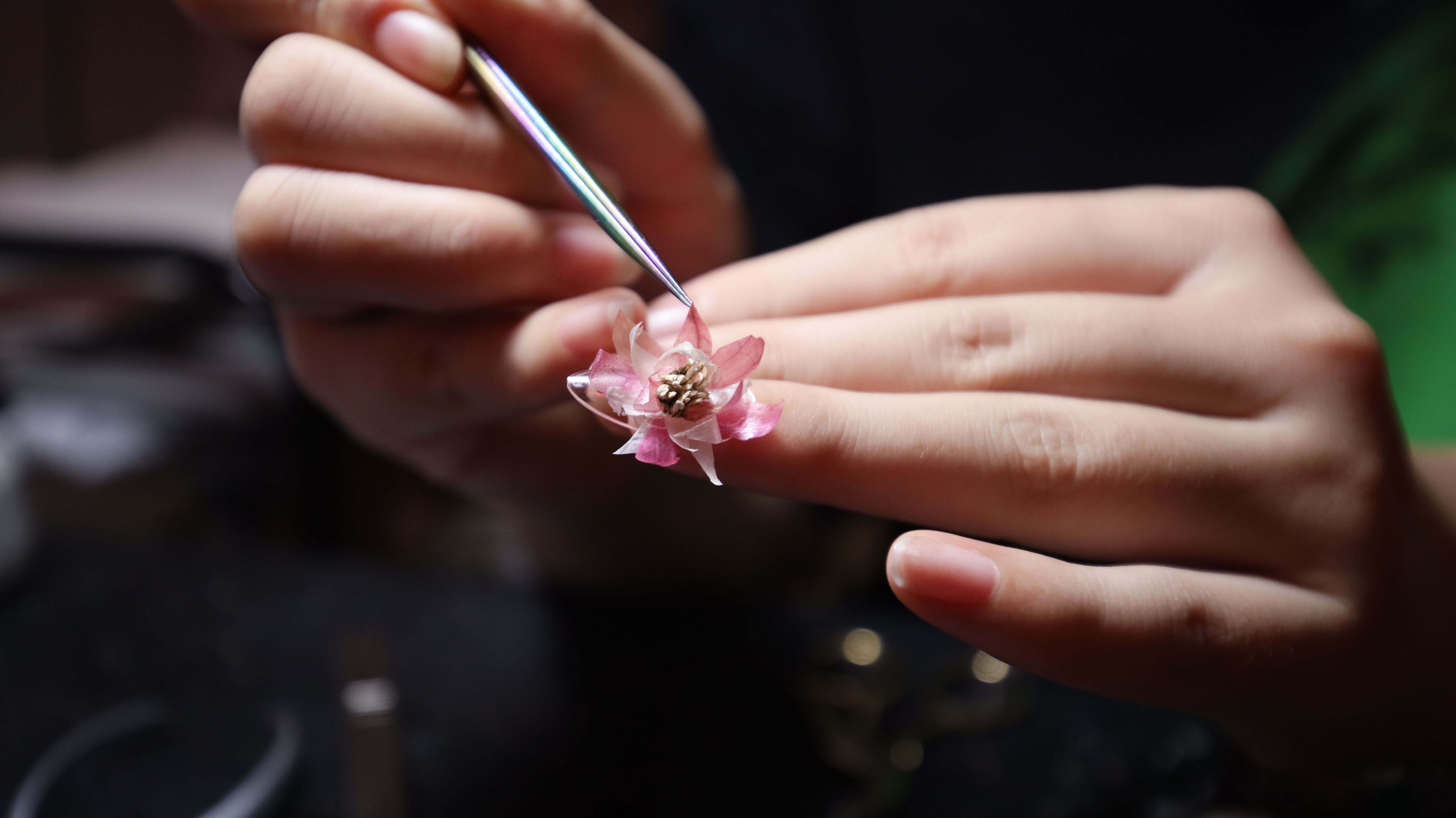 Co gai lam mong cho Suboi anh 8