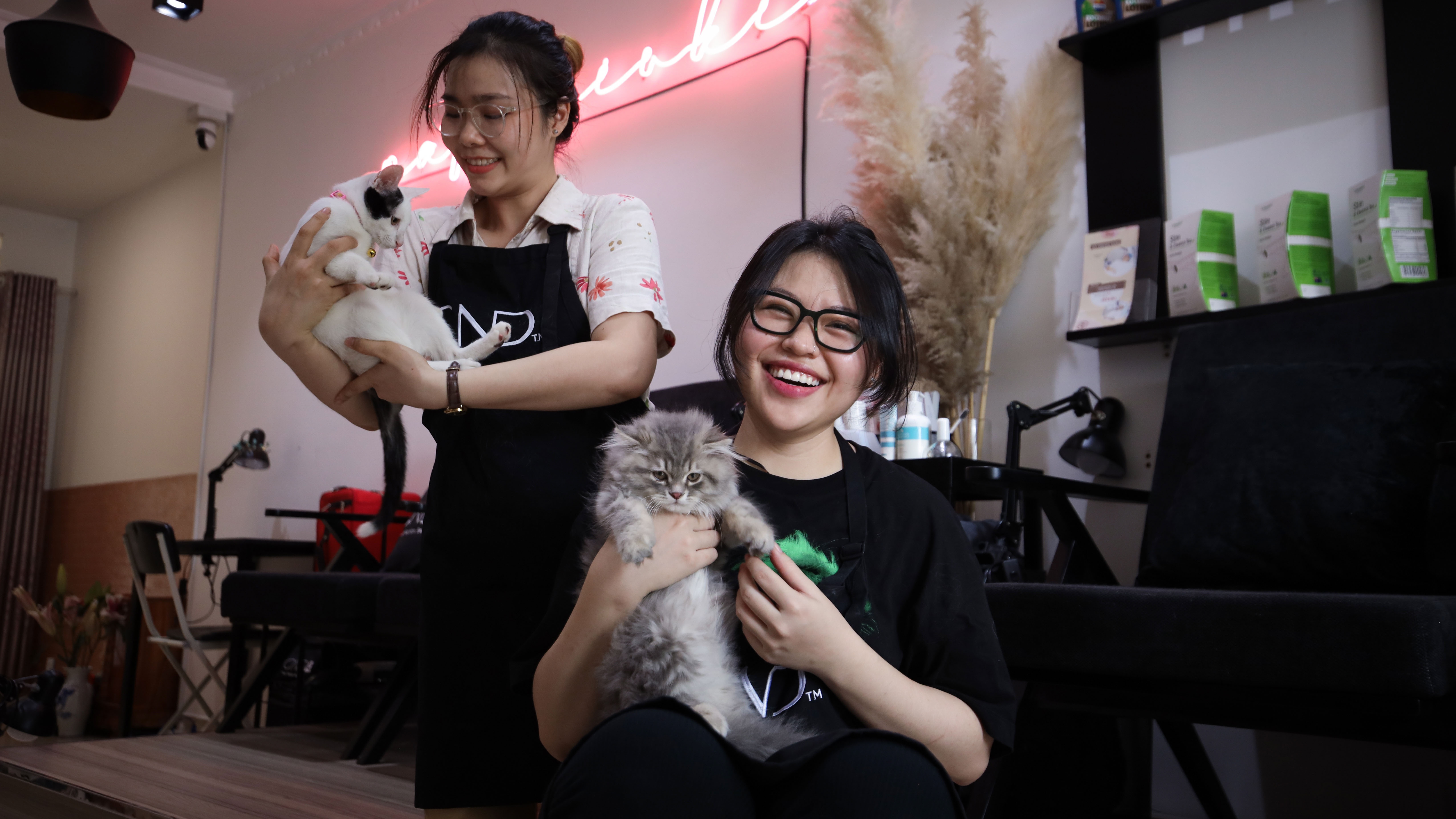 Co gai lam mong cho Suboi anh 1