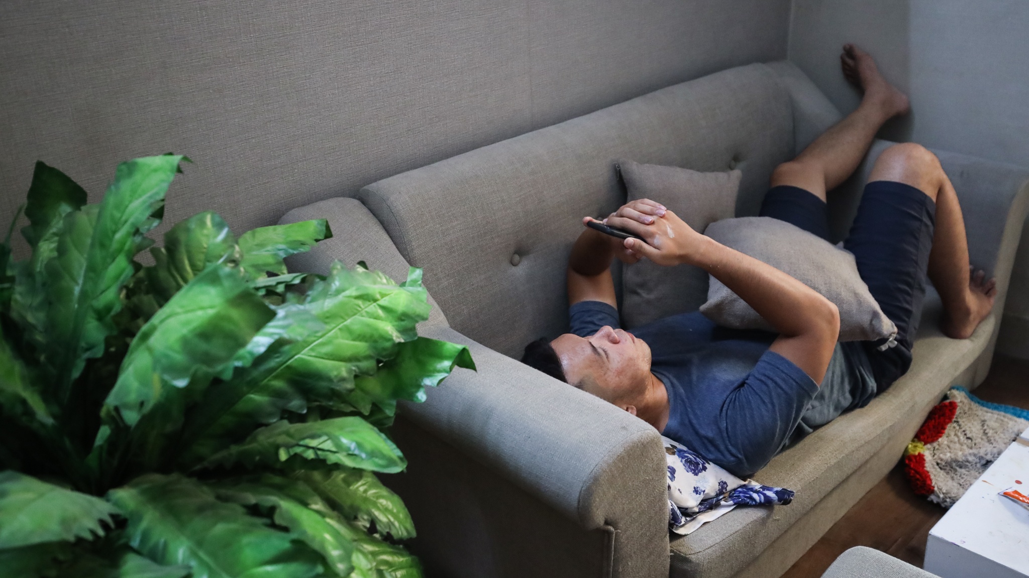 start up tre in 3d anh 15