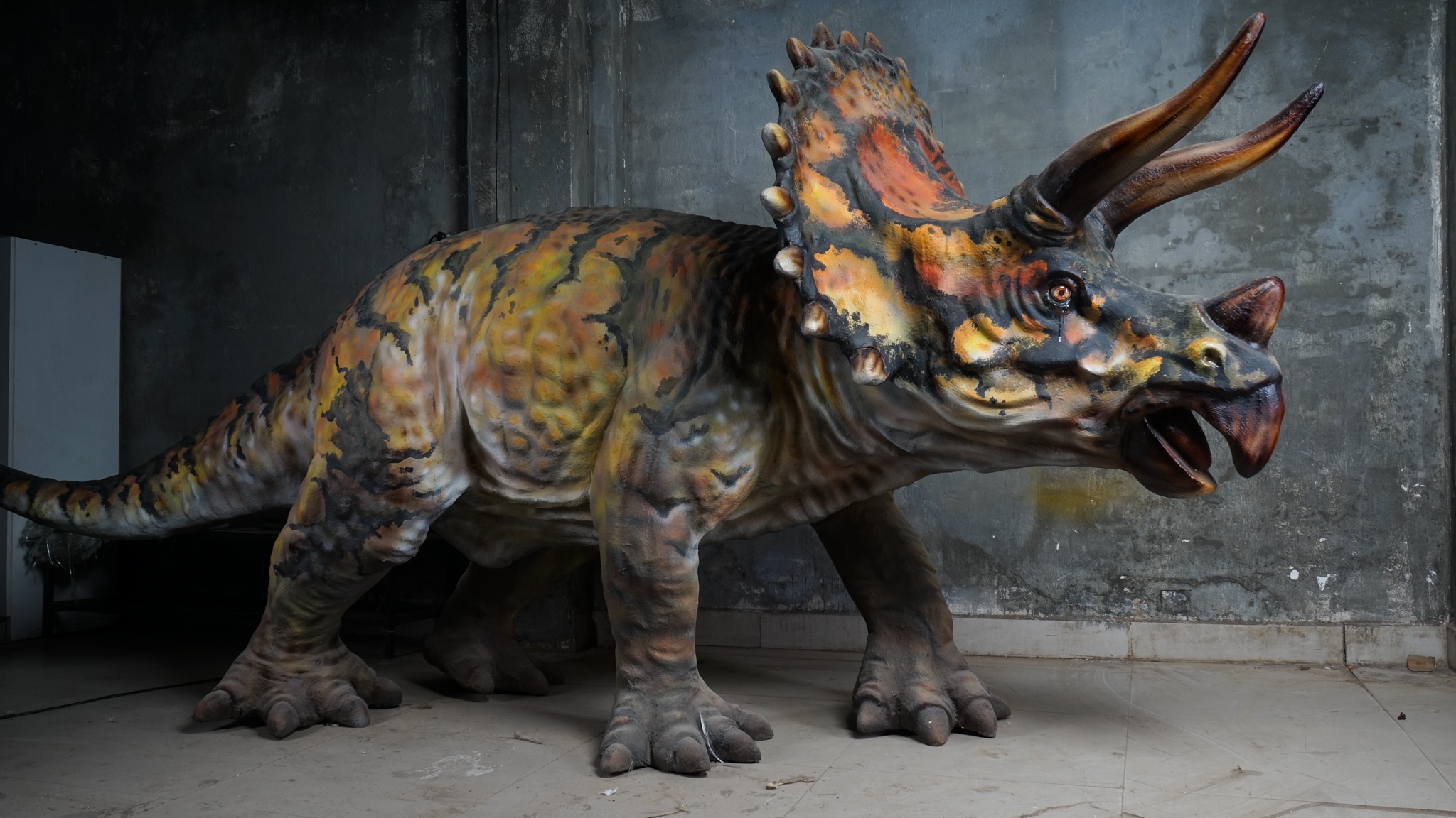 start up tre in 3d anh 13