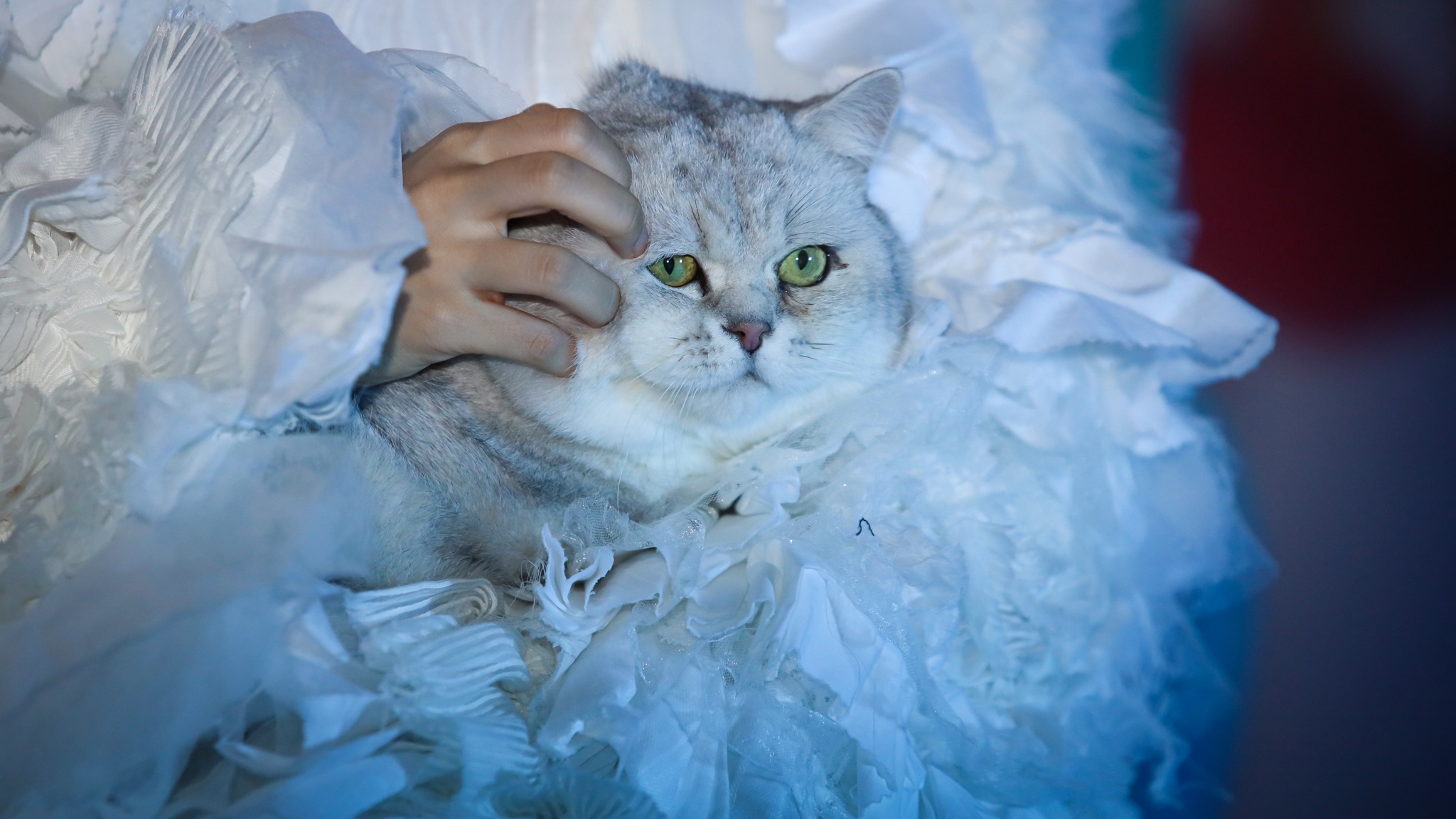 Ngay quay MV cua con gai Diva My Linh anh 15