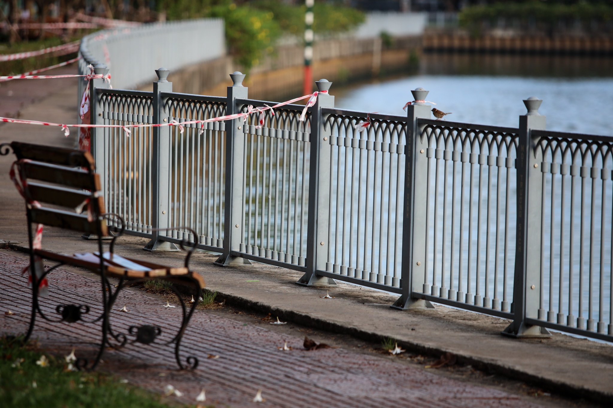 TP.HCM vang ve ngay gian cach anh 33