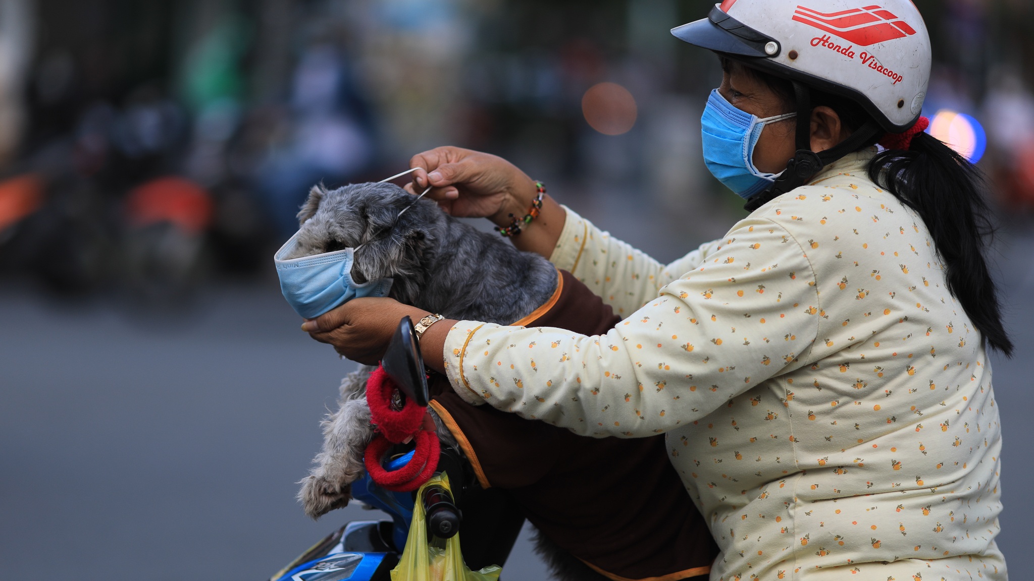 TP.HCM vang ve ngay gian cach anh 5