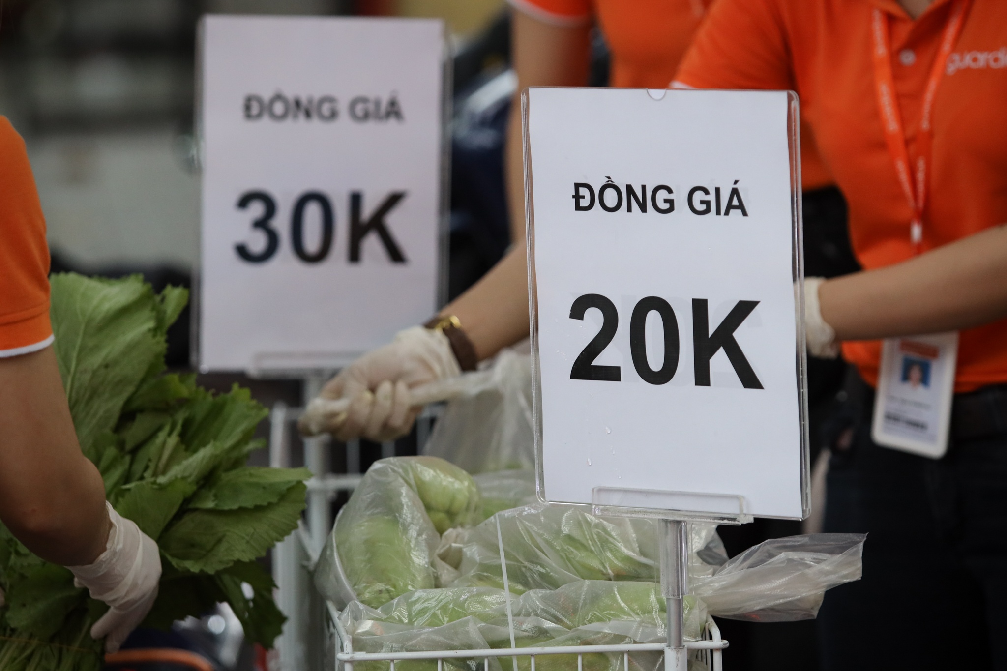 rau cu dong gia tai SG anh 9