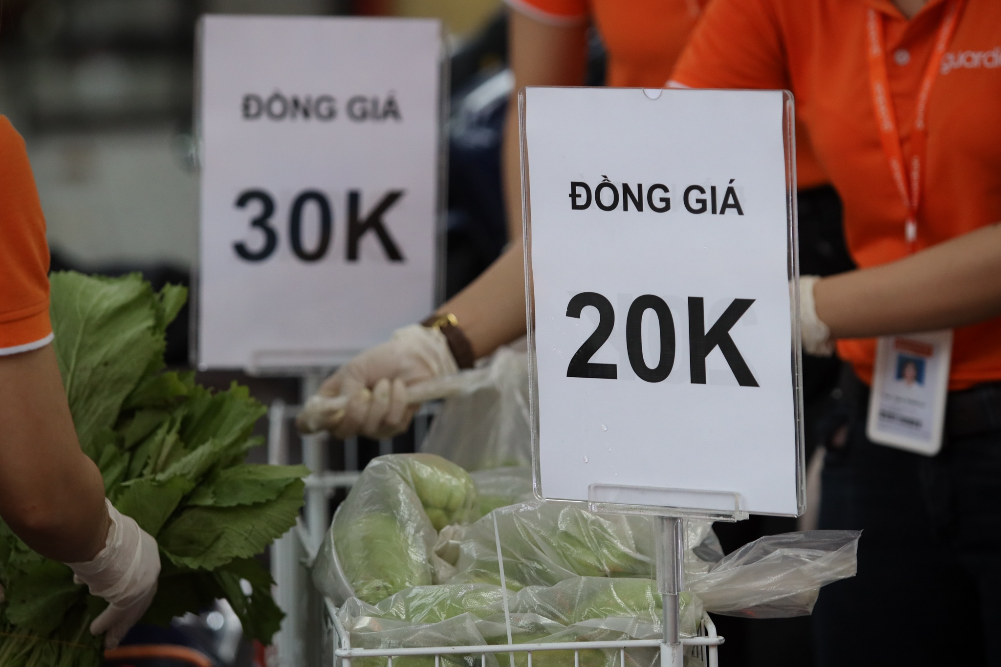 phan phoi rau cu o TP.HCM trong mua dich anh 30