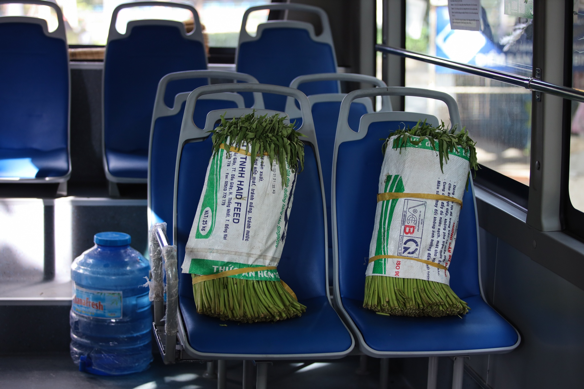 phan phoi rau cu o TP.HCM trong mua dich anh 37