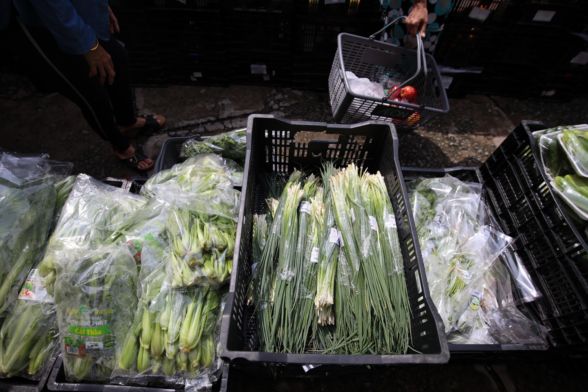 phan phoi rau cu o TP.HCM trong mua dich anh 29