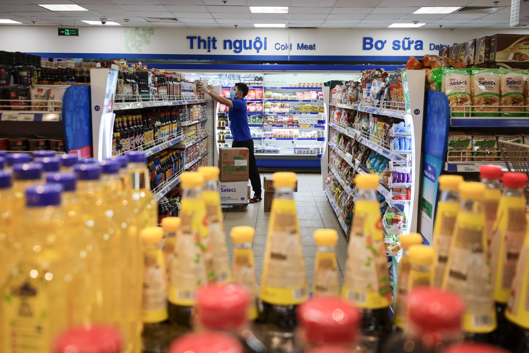 combo di cho ho anh 1