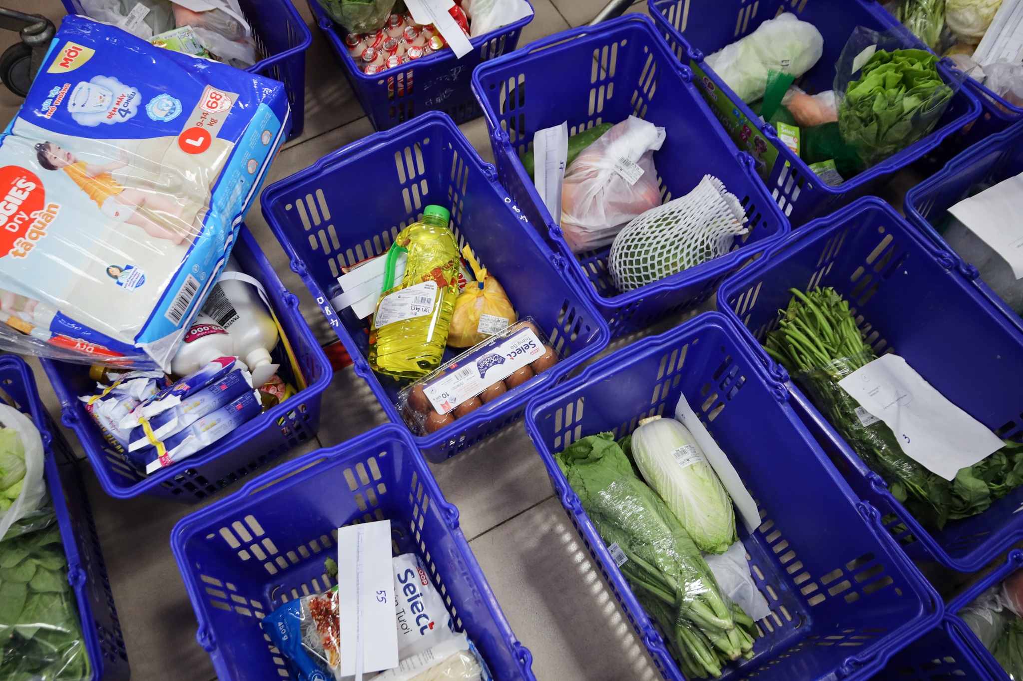 combo di cho ho anh 4