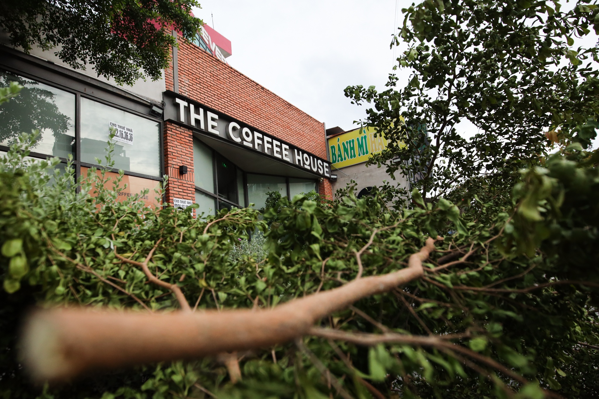 Chuỗi cafe đầu tiên mở lại ở TP.HCM ảnh 10 Chuoi cafe dau tien mo lai o TP.HCM anh 10