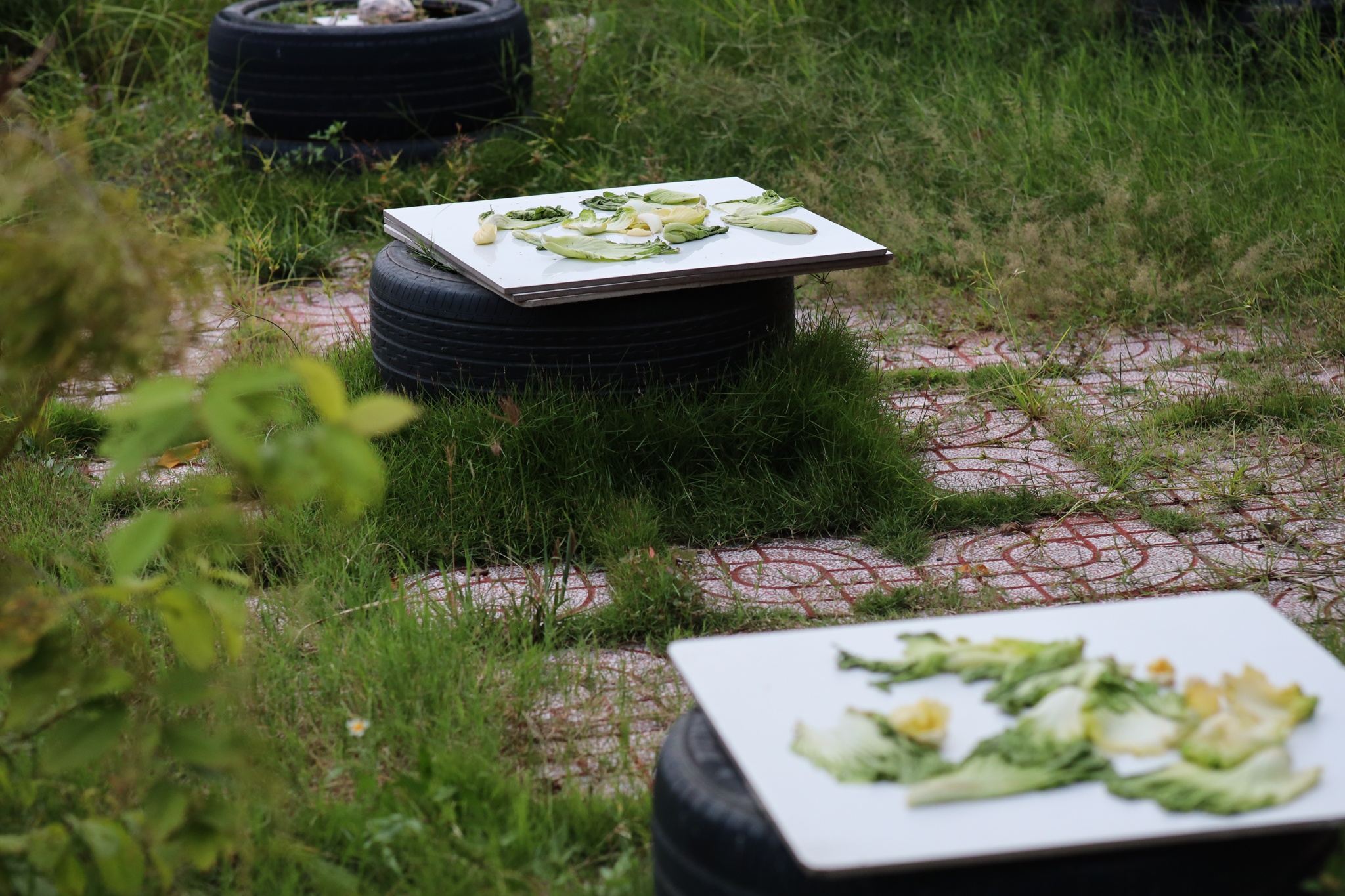 Chuoi cafe dau tien mo lai o TP.HCM anh 11