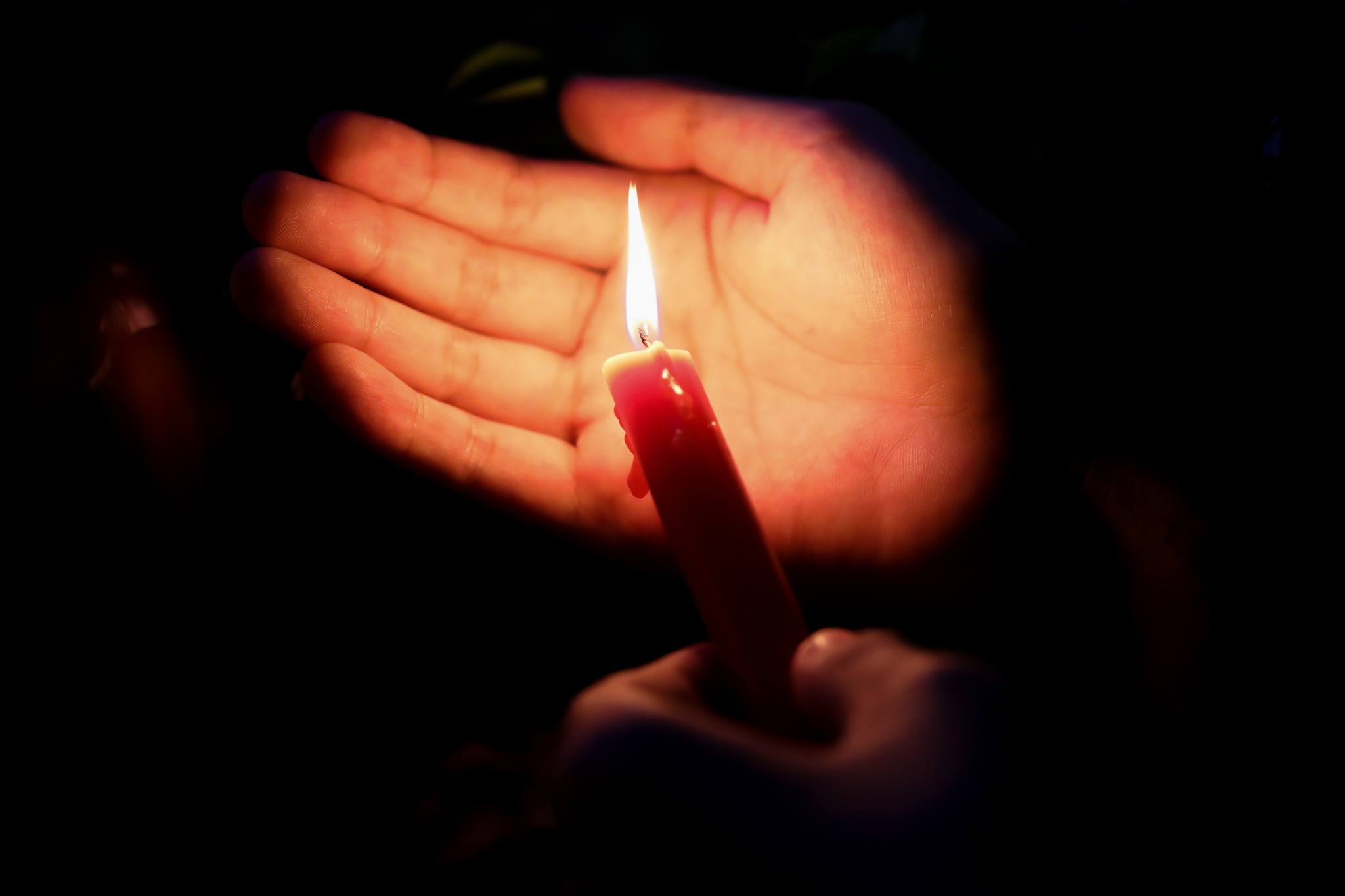 tuong niem nguoi mat vi Covid-19 anh 20