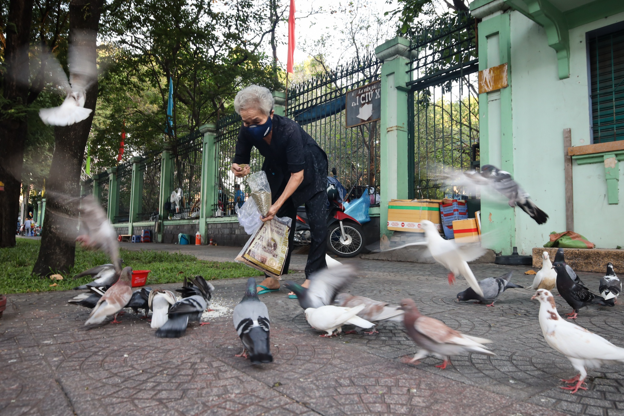 nguoi dan TP.HCM don nam moi anh 8