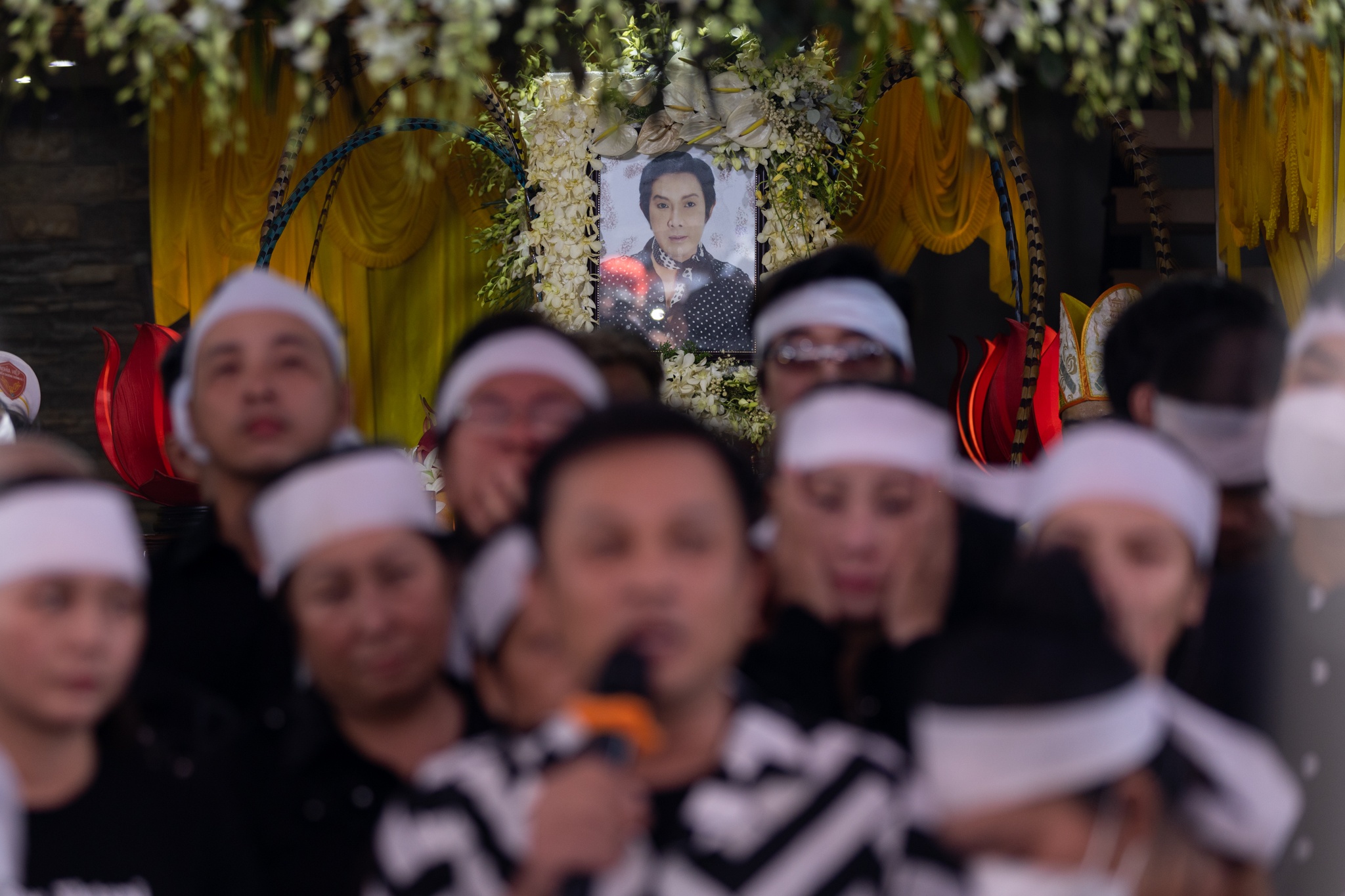 vu linh qua doi anh 2