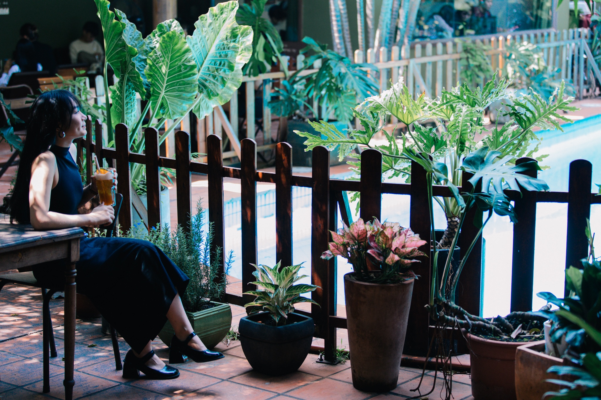 hang quan thao dien anh 16