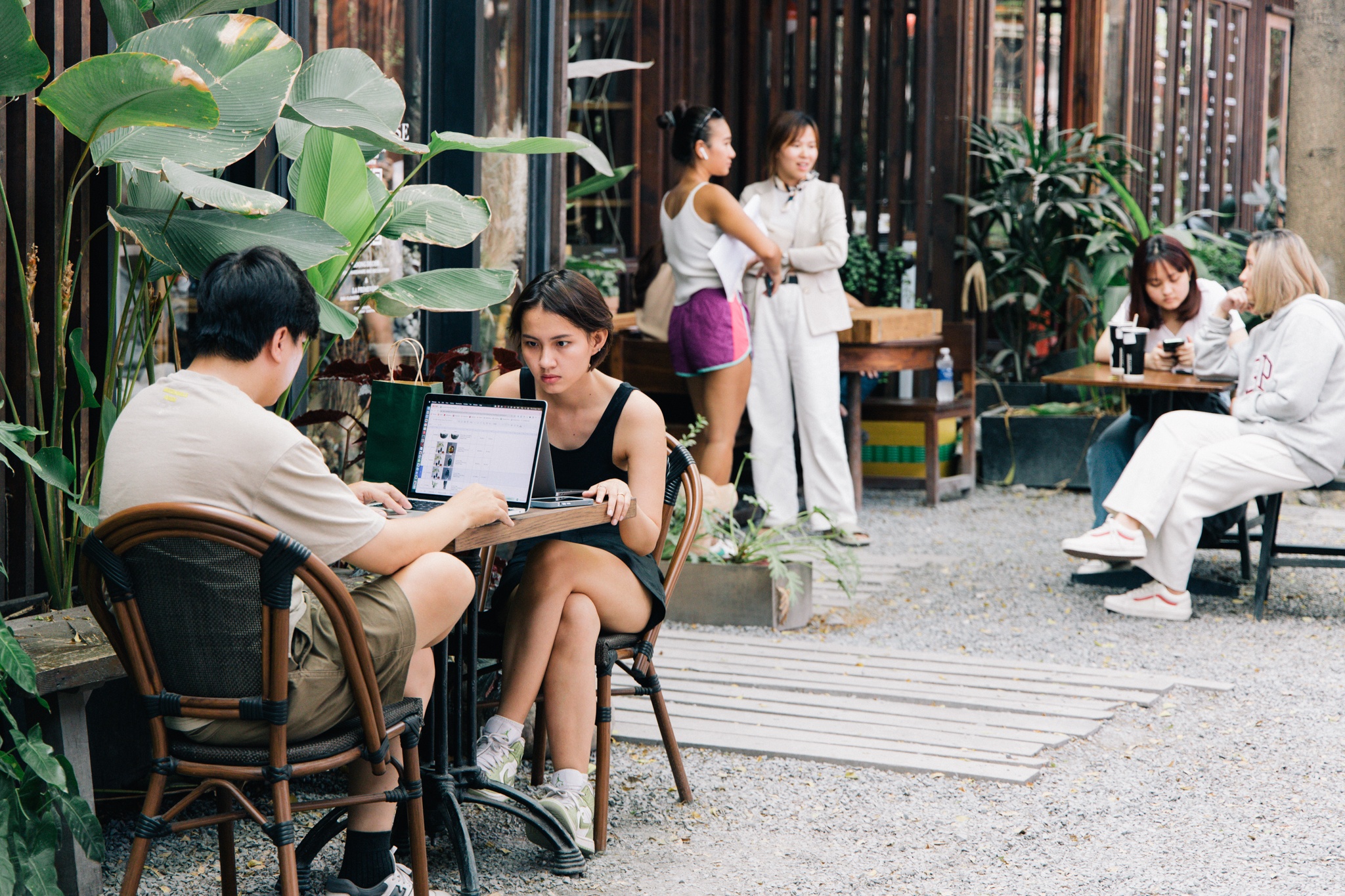 hang quan thao dien anh 22