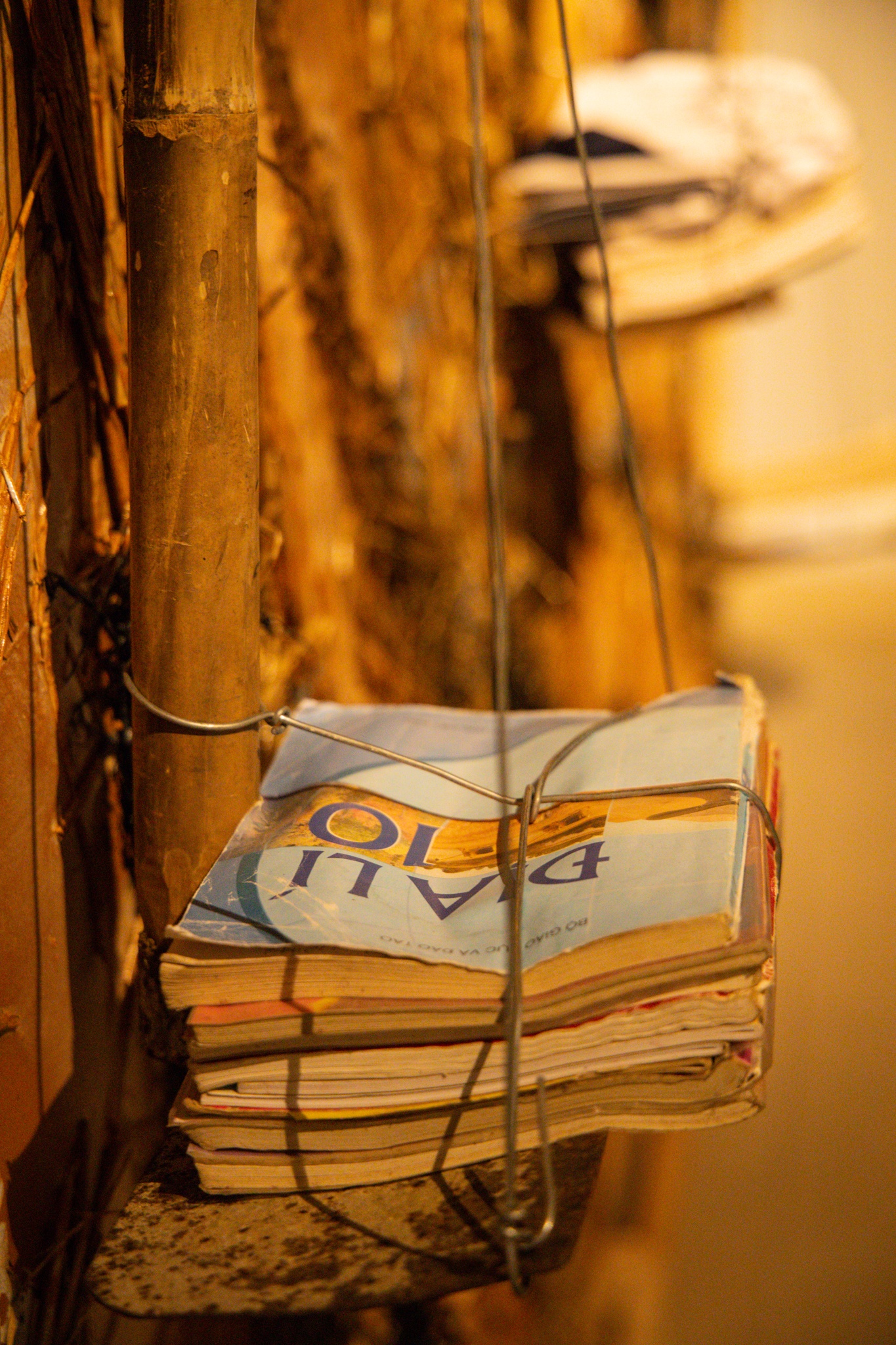 trien lam shaman anh 3