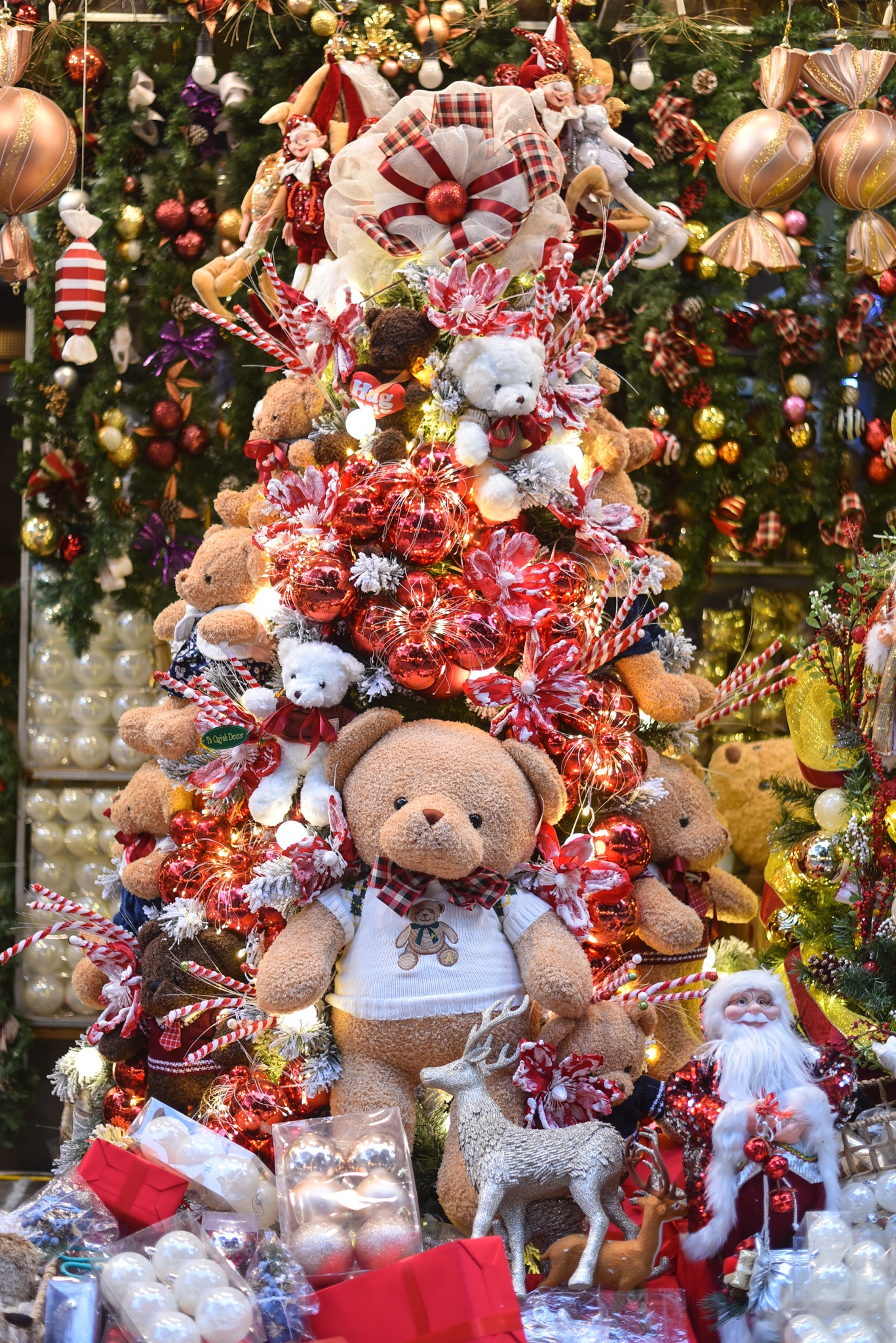 Hang Ma dip giang sinh anh 7