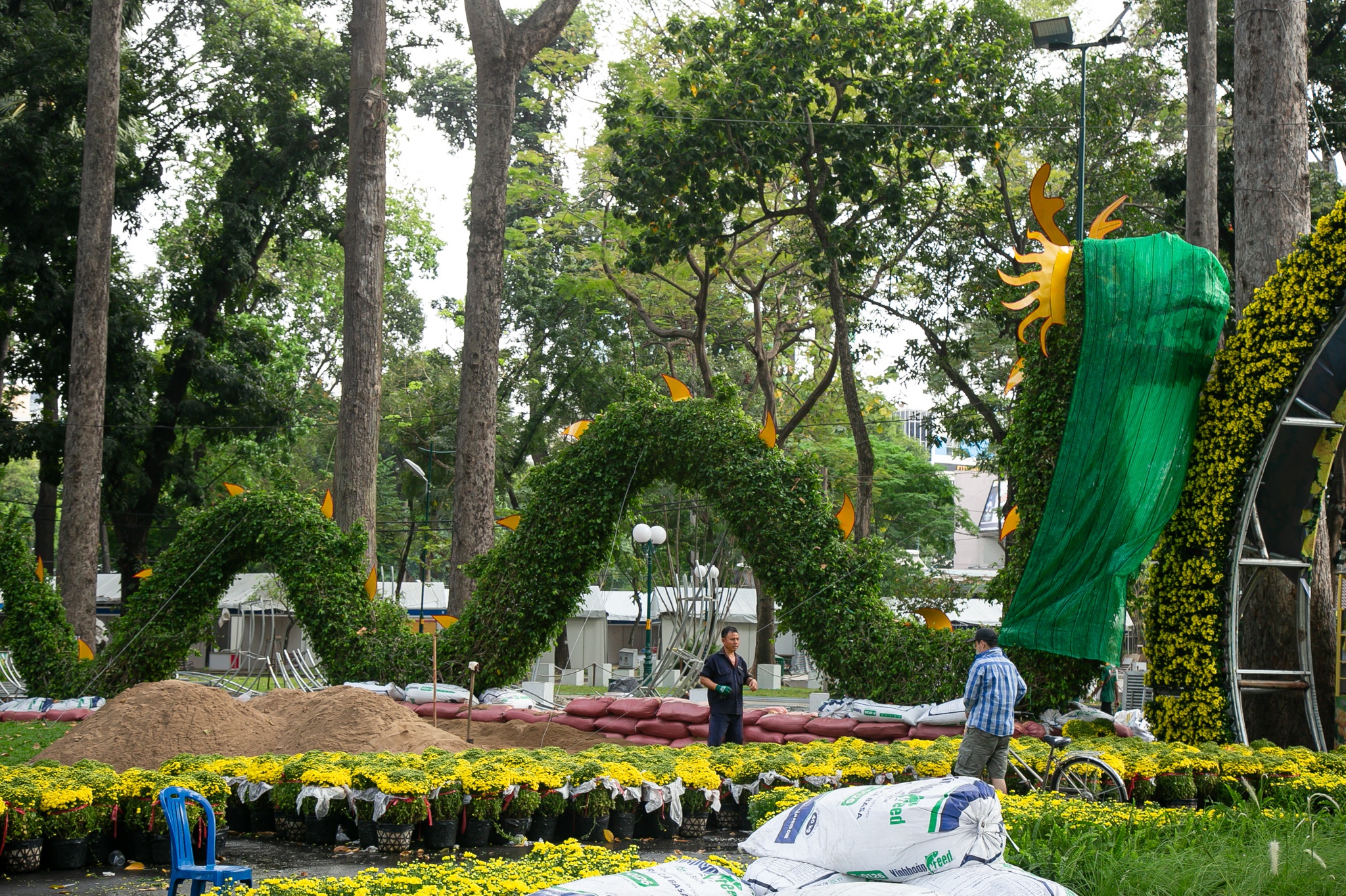 Rồng khổng lồ ở TP.HCM ảnh 13 Rong khong lo o TP.HCM anh 13