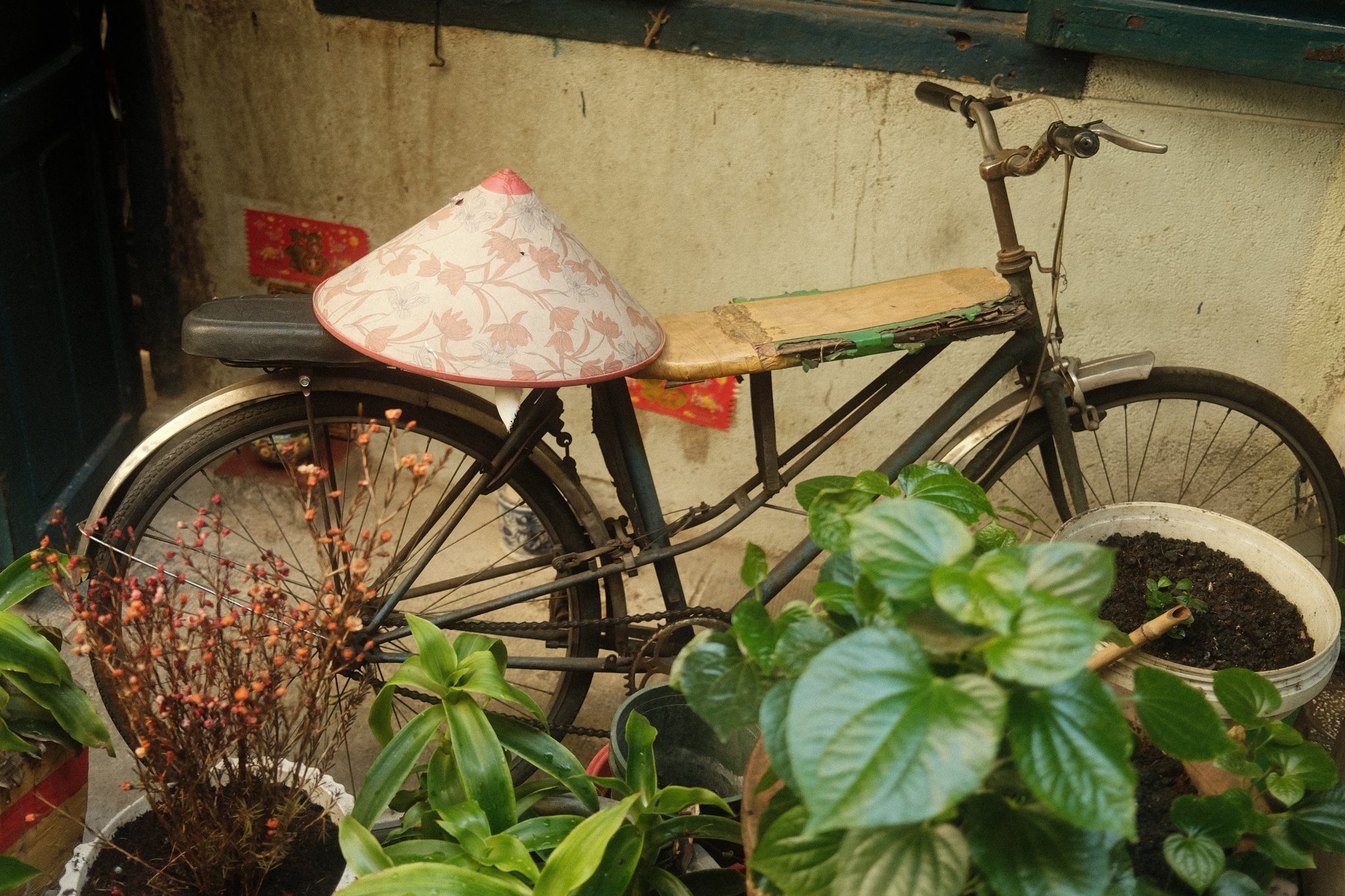 chung cu phim Tran Thanh anh 17