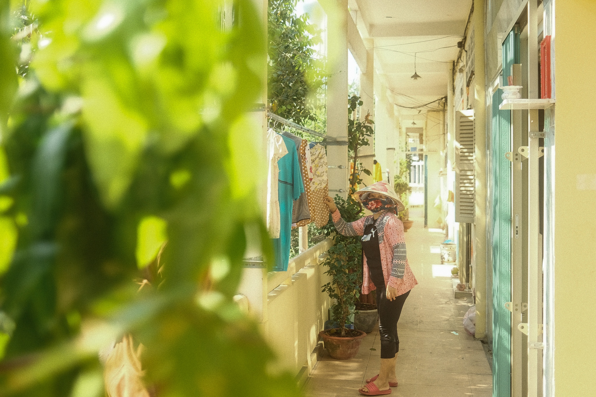 chung cu phim Tran Thanh anh 22