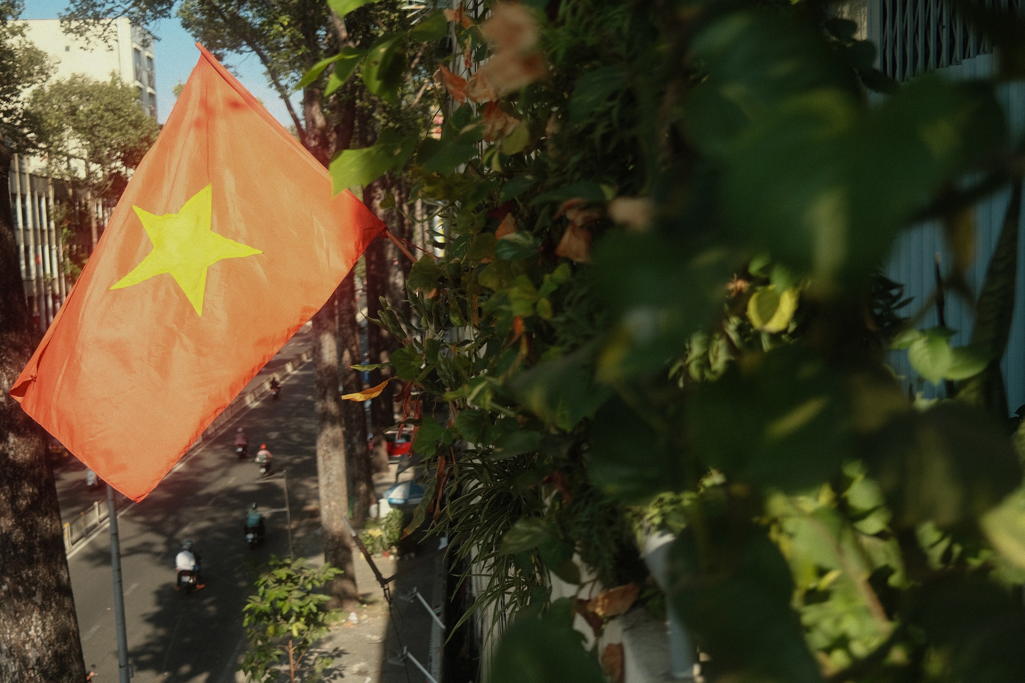 chung cu phim Tran Thanh anh 13