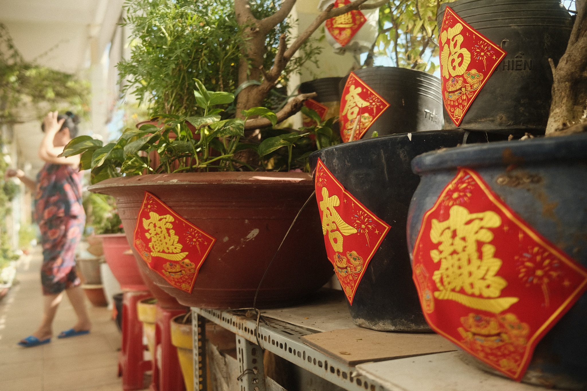 chung cu phim Tran Thanh anh 14