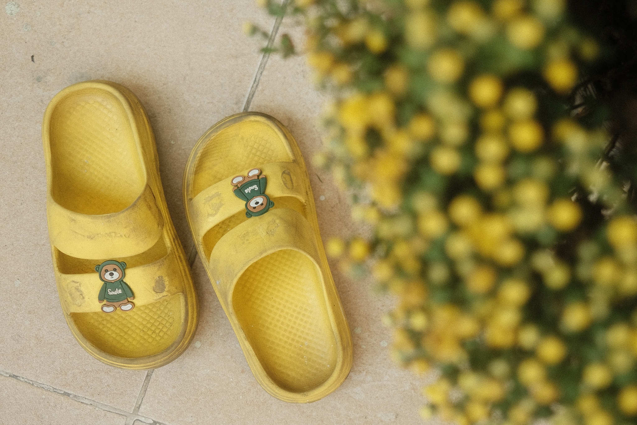 chung cu phim Tran Thanh anh 21