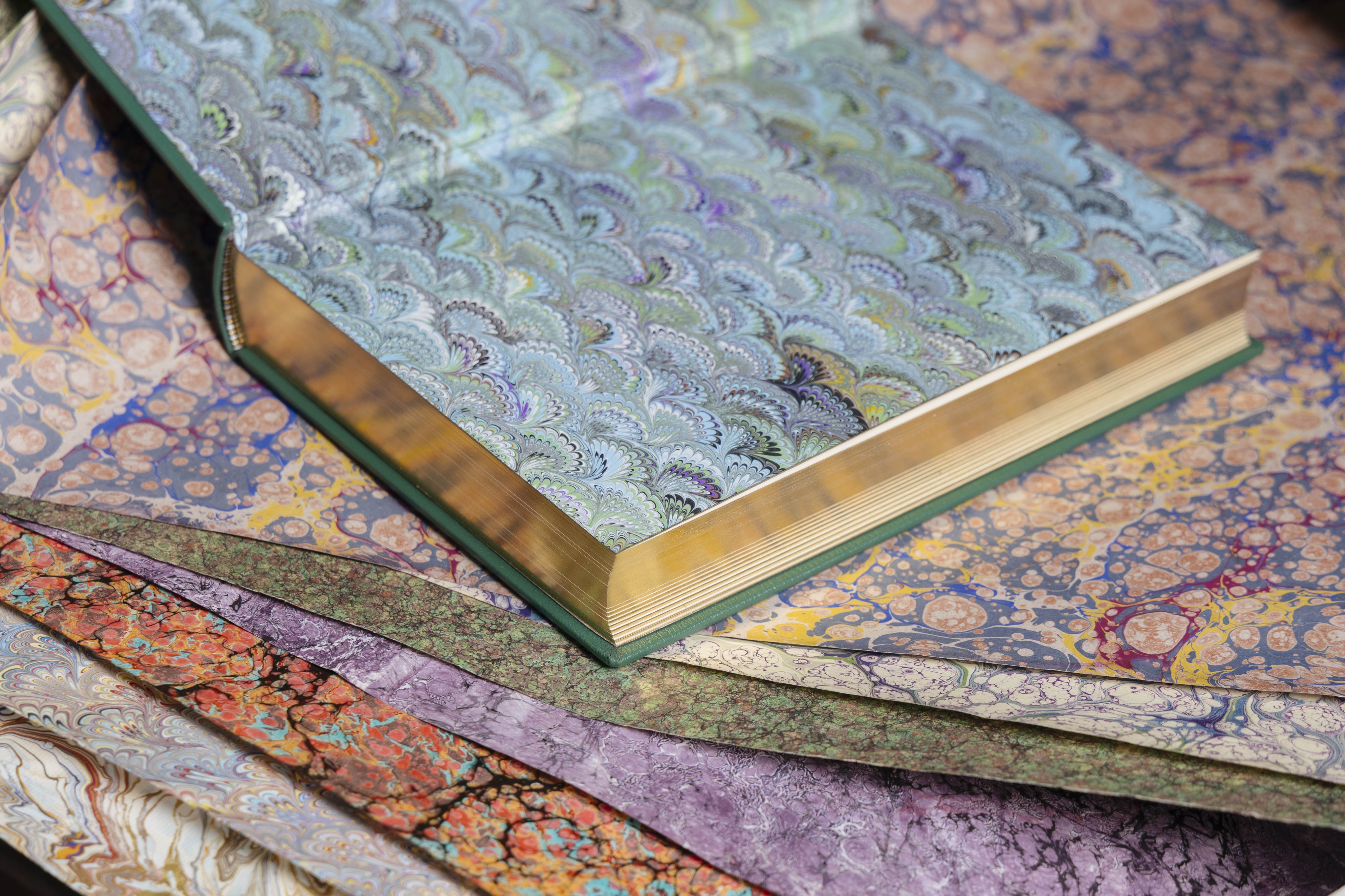 tran dai thang anh 14