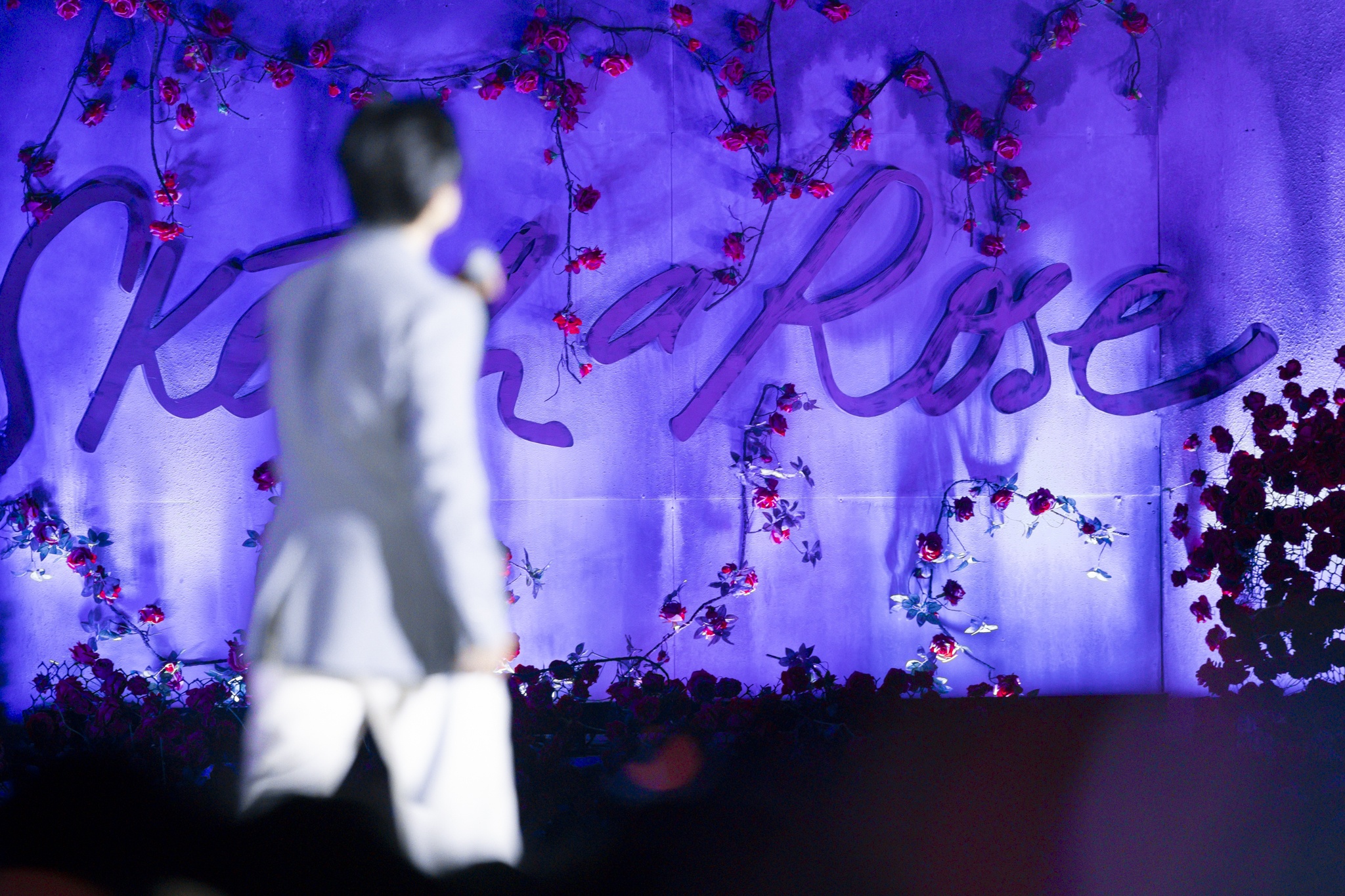 IMGC5558_znews.jpg