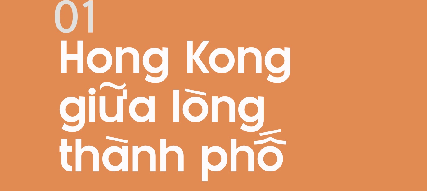 Ngo Thanh Van anh 8
