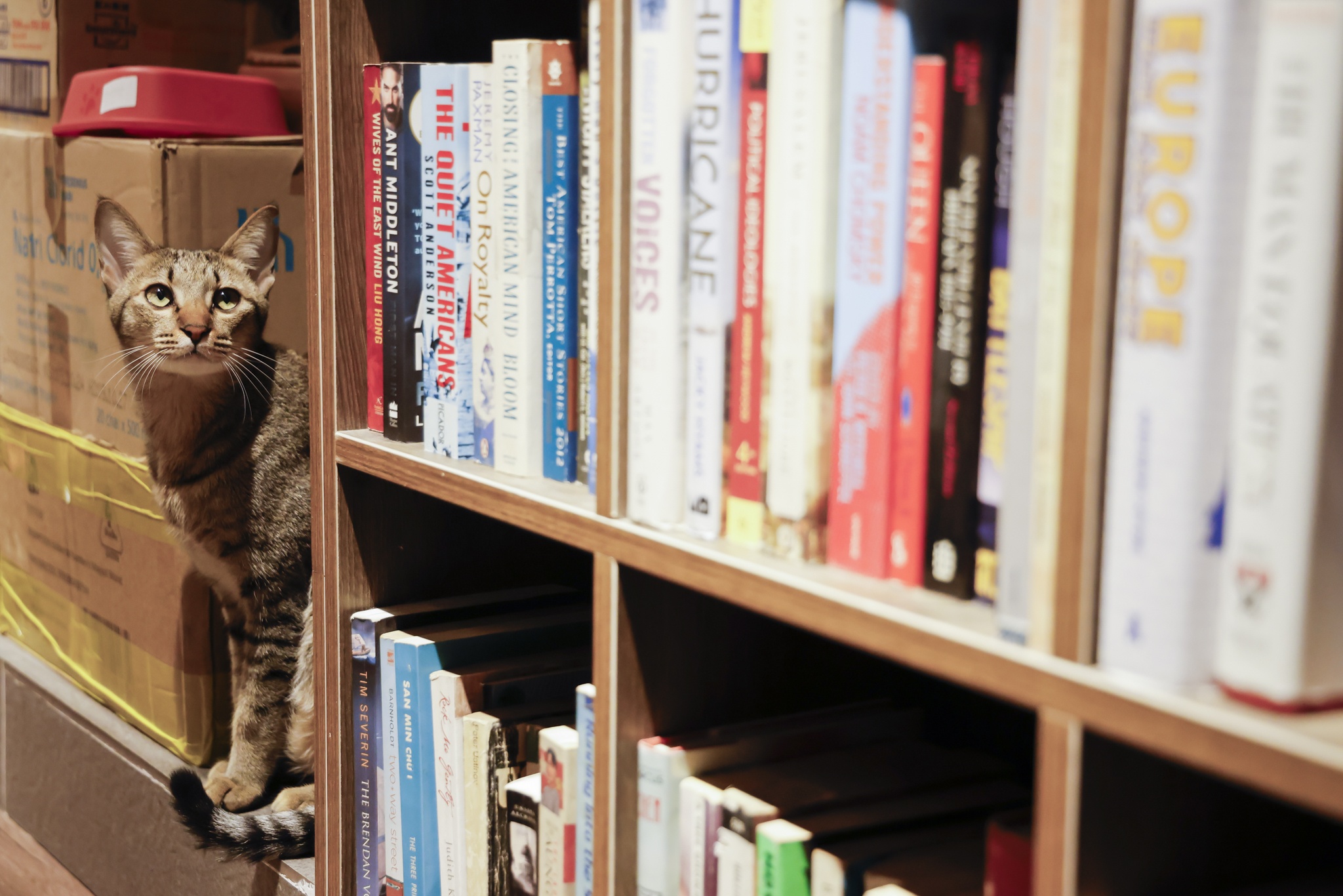 tiệm sách ngoại văn tphcm ảnh 14 tiem sach ngoai van tphcm anh 14