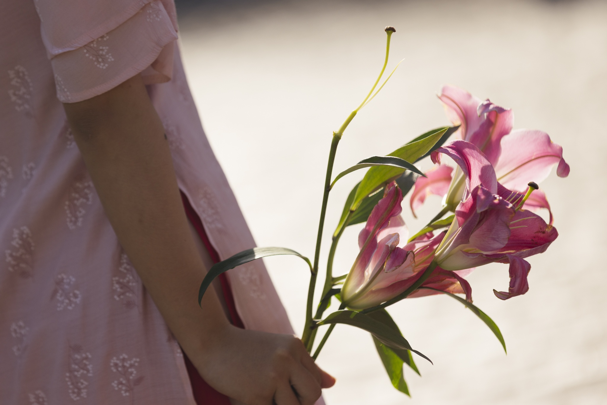 ao dai,  dau nam,  2026,  TP.HCM anh 7