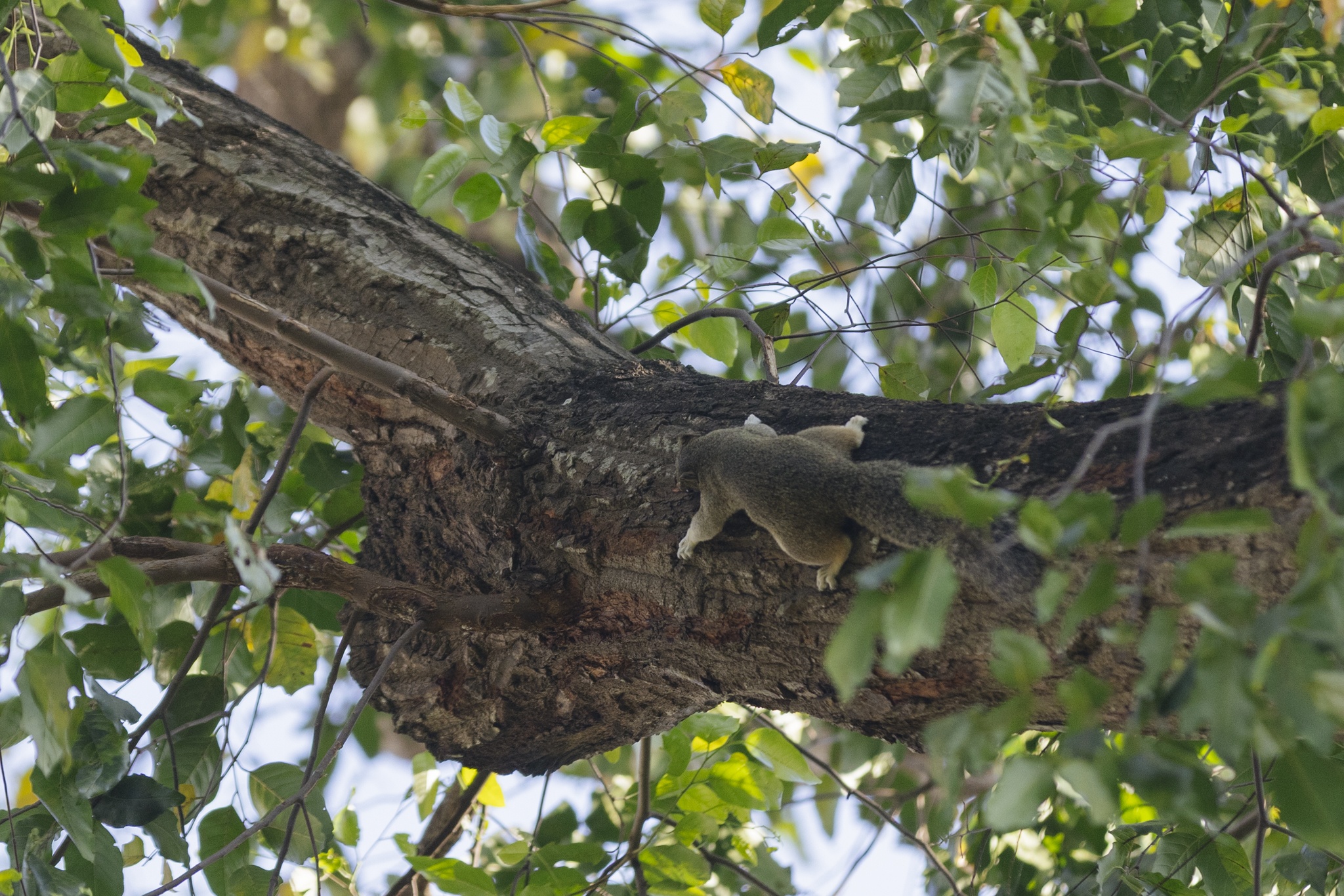 ngay dau nam o TP.HCM anh 11